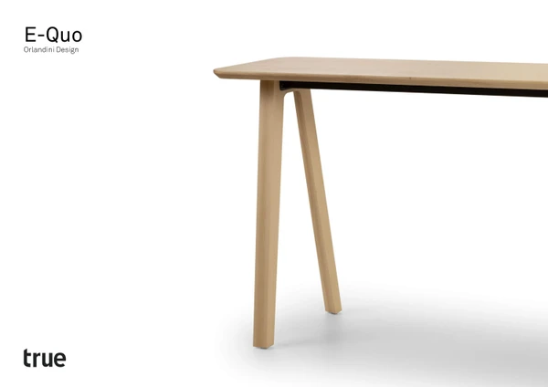 Immagine di anteprima del file E-Quo