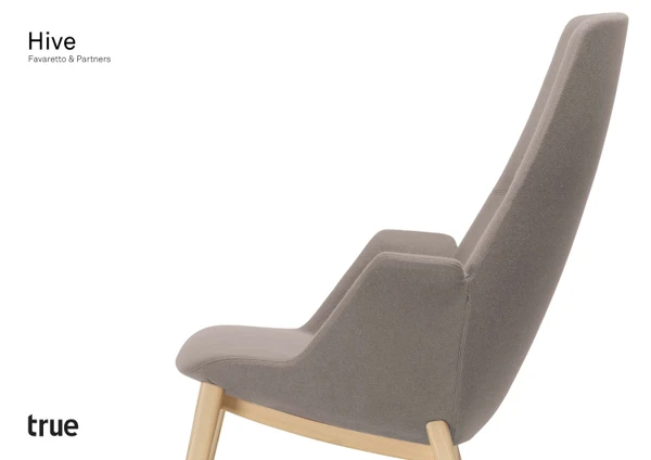 Immagine di anteprima del file Hive