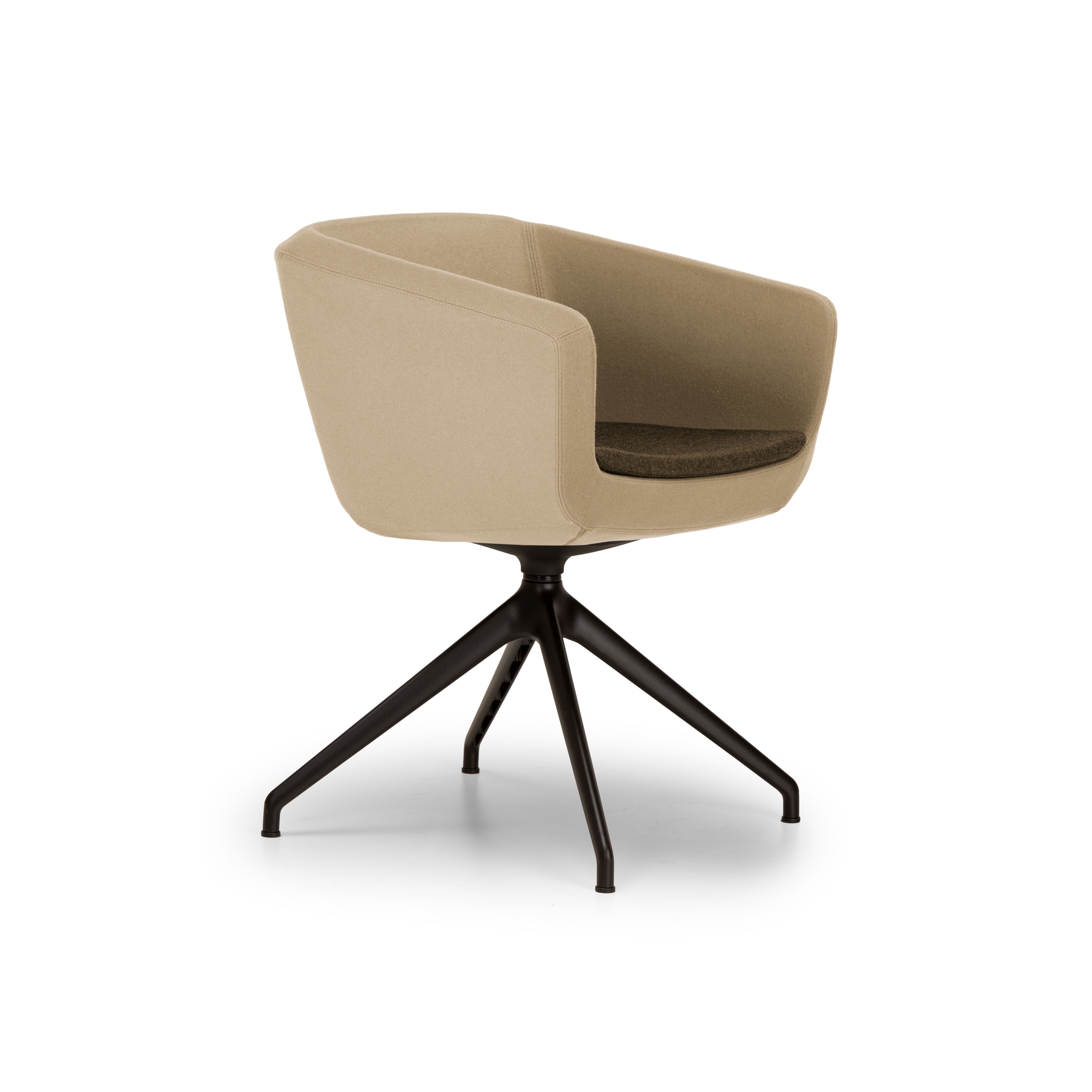 Display product Arca Small from manufacturer True Design