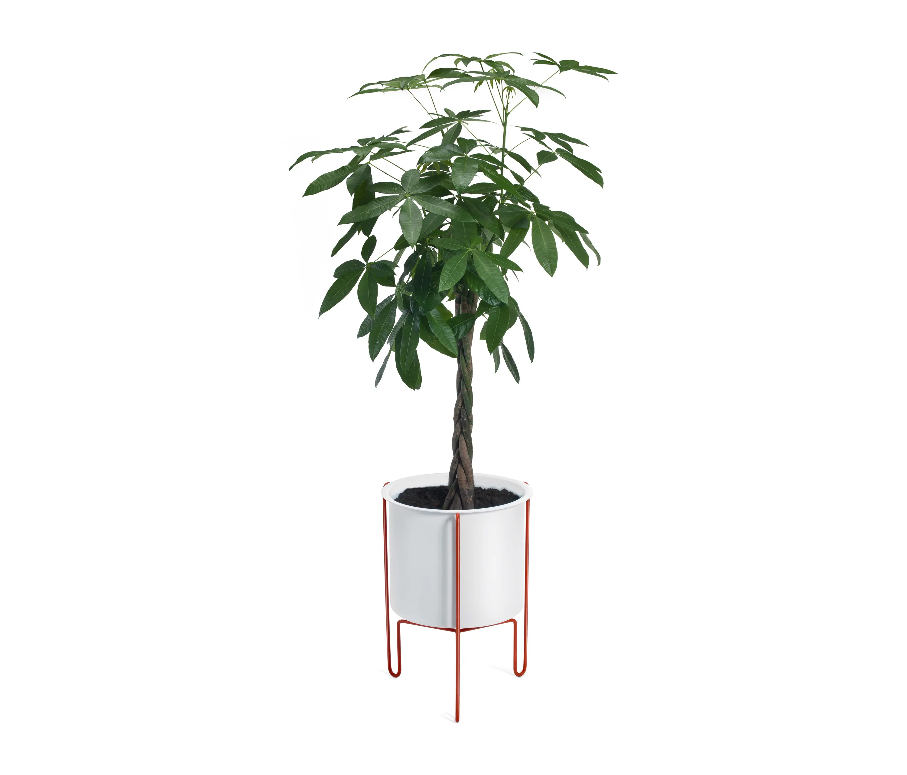 Gaber - Meridius Planter | 62.5 cm
