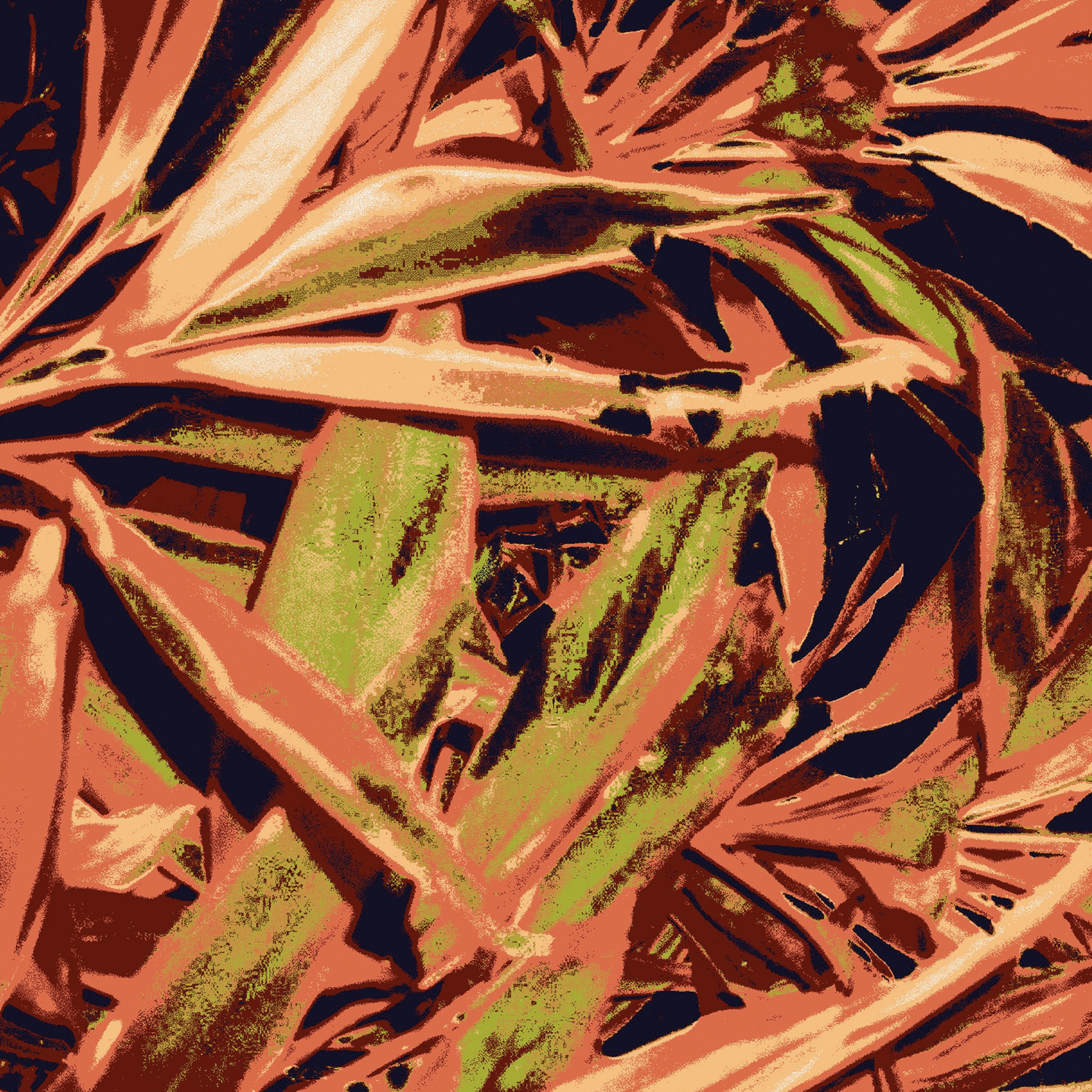 Mostra il prodotto Tropicana | Carpet 1 del produttore Sula World