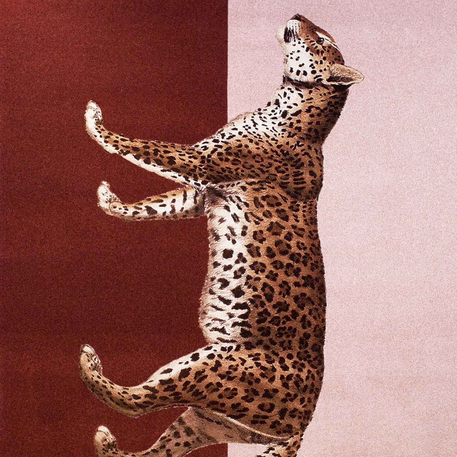 Mostra il prodotto Bestia | Carpet Panthera 2 del produttore Sula World