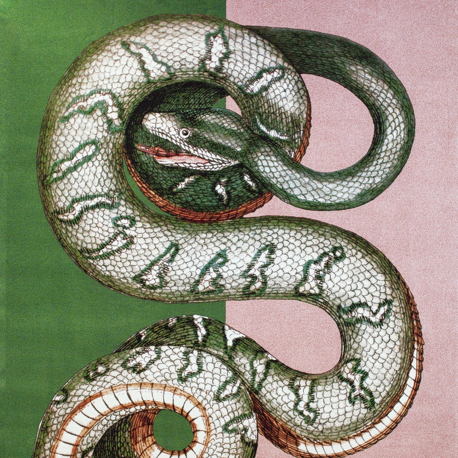 Mostra il prodotto Bestia | Carpet Serpentes 1 del produttore Sula World