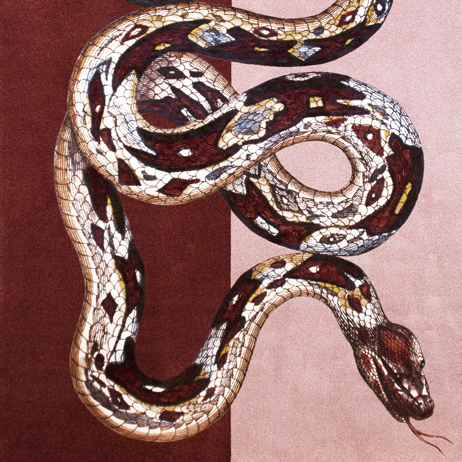 Mostra il prodotto Bestia | Carpet Serpentes 2 del produttore Sula World