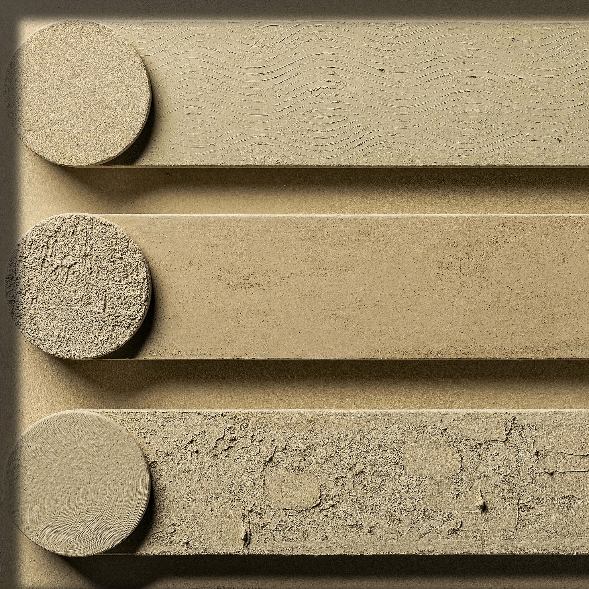 Stratigrafia | Zenzero