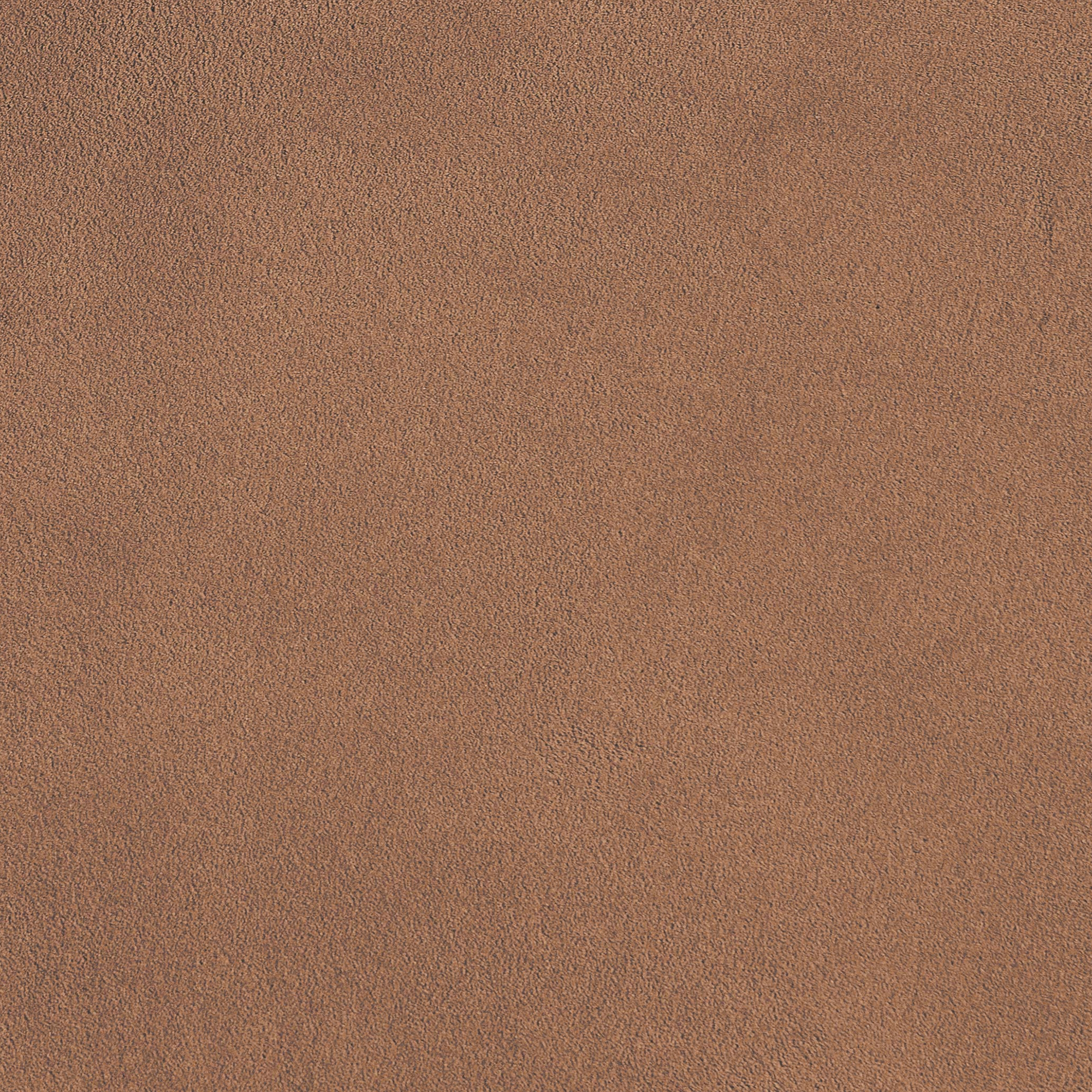 TerraVista | Cammeo