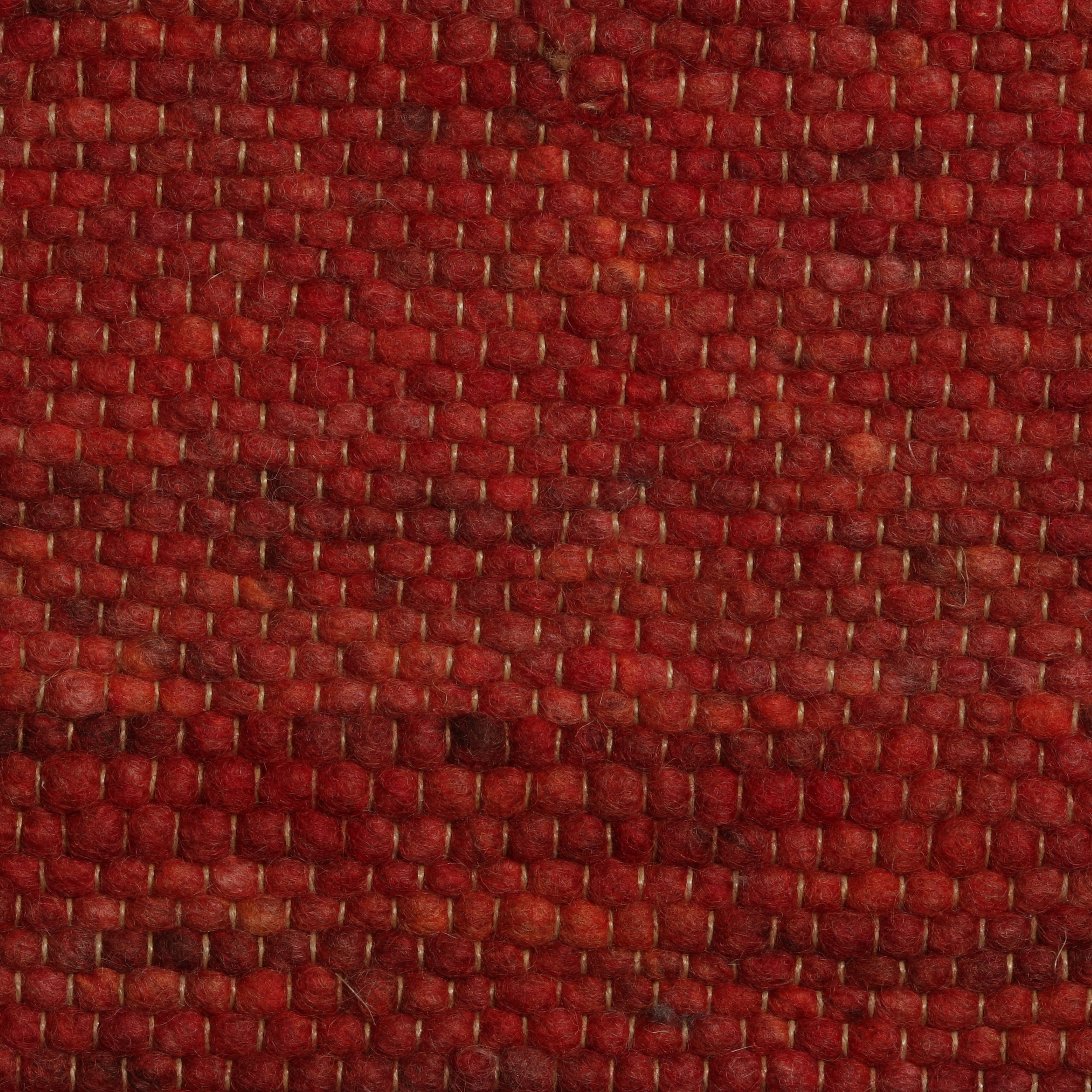 Salsa 010
