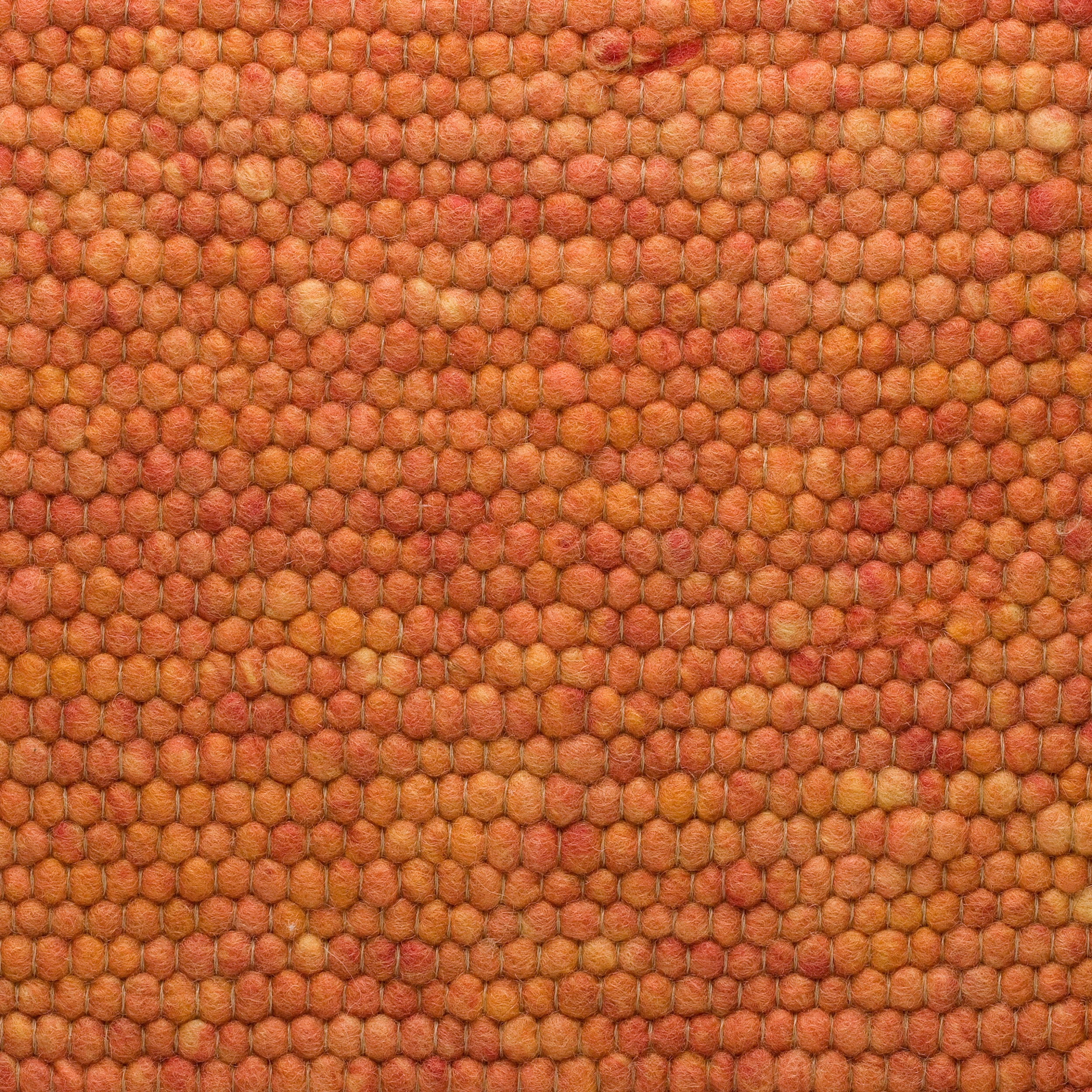 Salsa 022