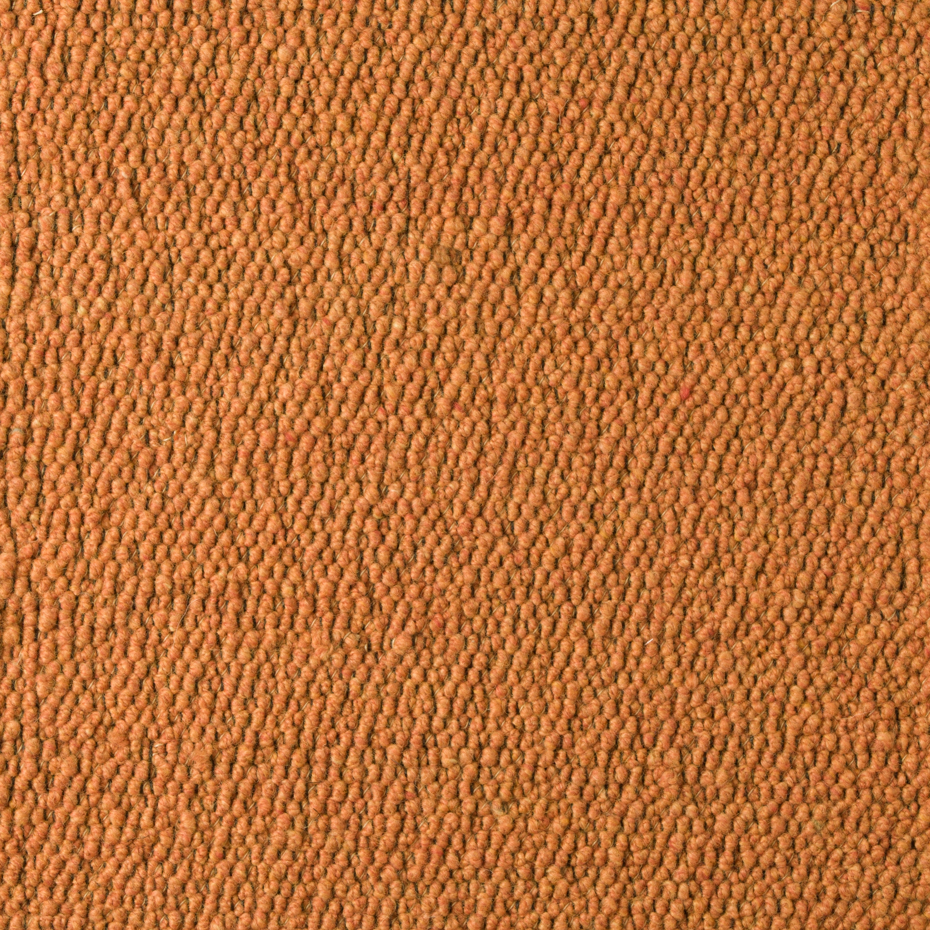 Scrolls 022