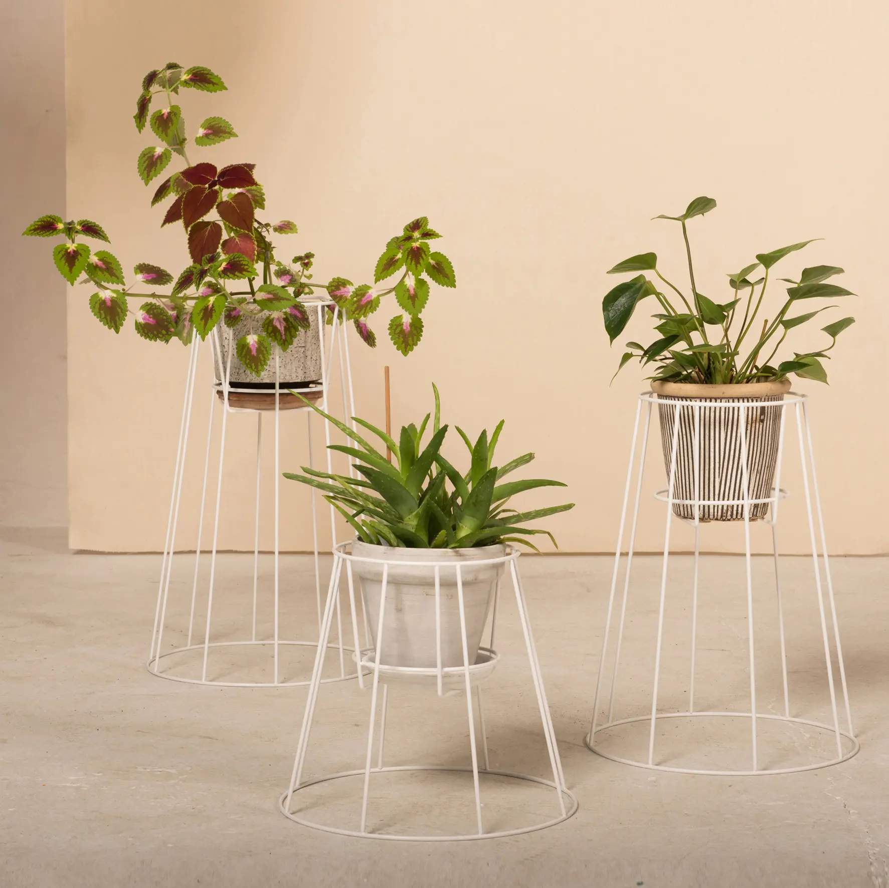 OK design - Cibele Small