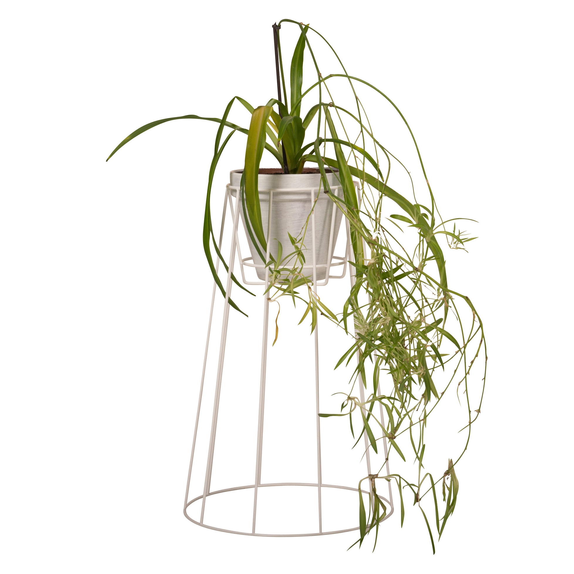 Produkt Cibele Large des Herstellers OK design anzeigen