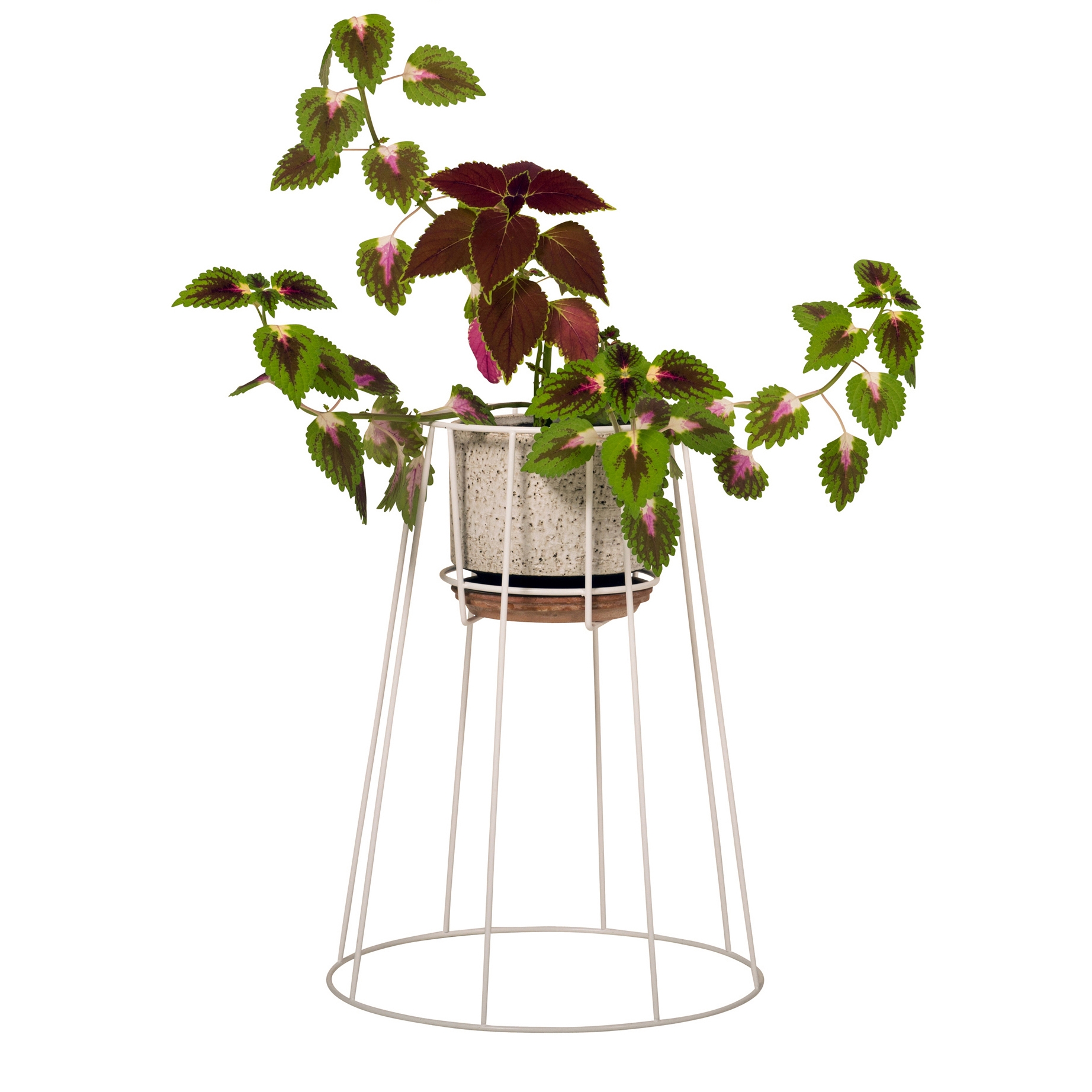 Produkt Cibele Medium des Herstellers OK design anzeigen
