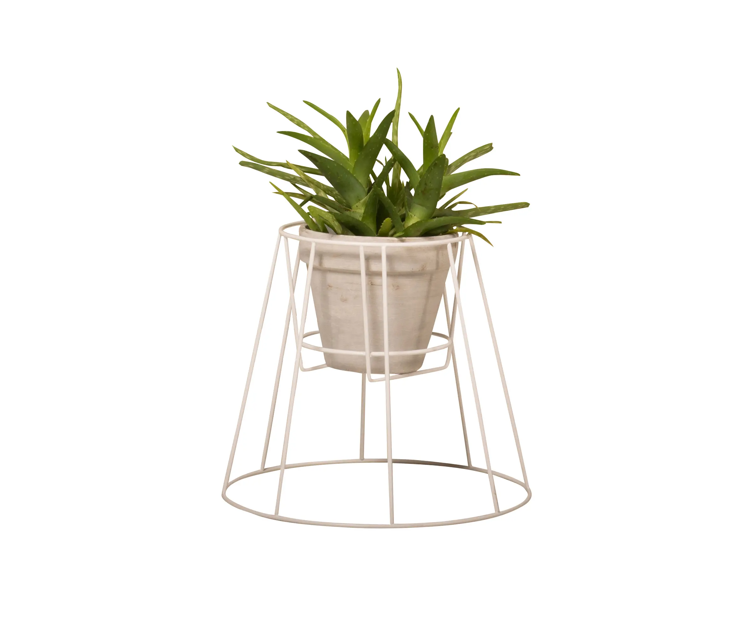 OK design - Cibele Small