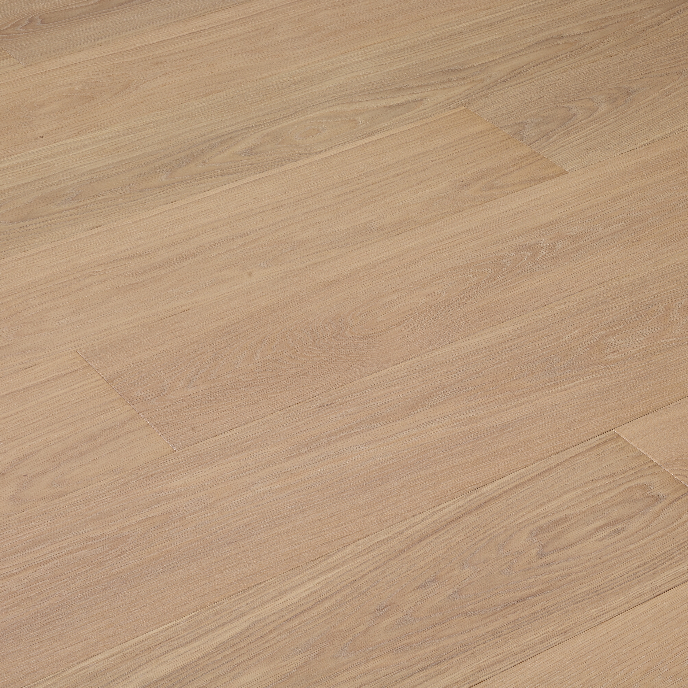 Boschi Di Fiemme - Riflesso