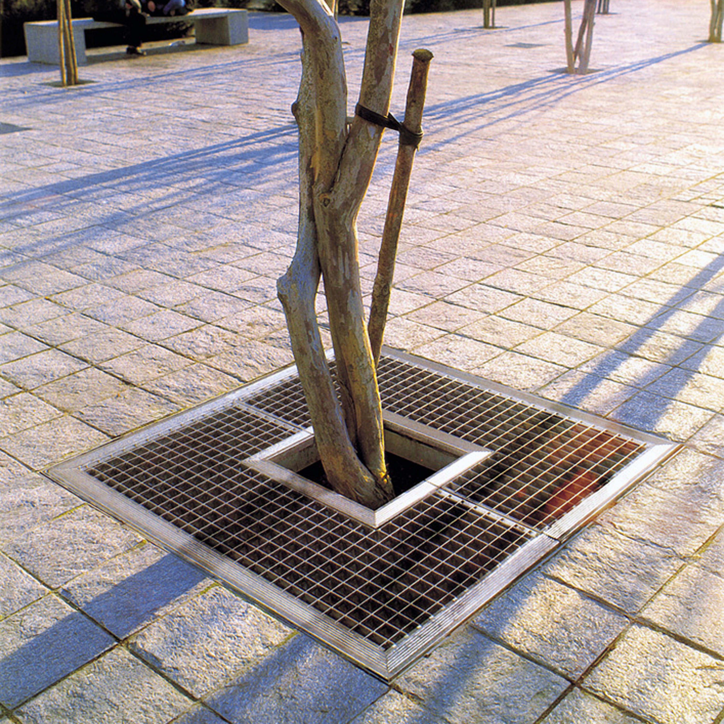 Display product DMD tree grate from manufacturer Concept Urbain