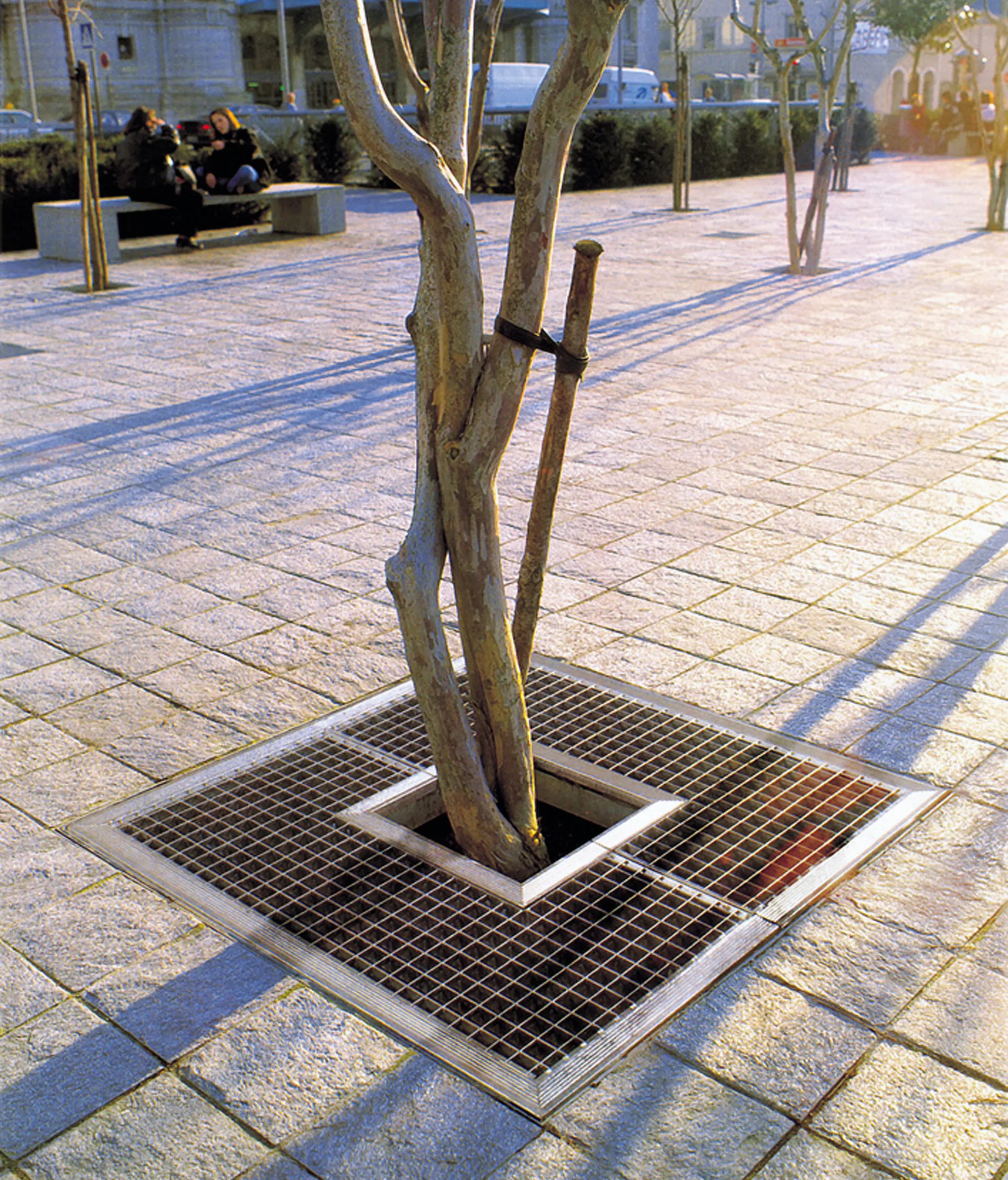 Concept Urbain - DMD tree grate