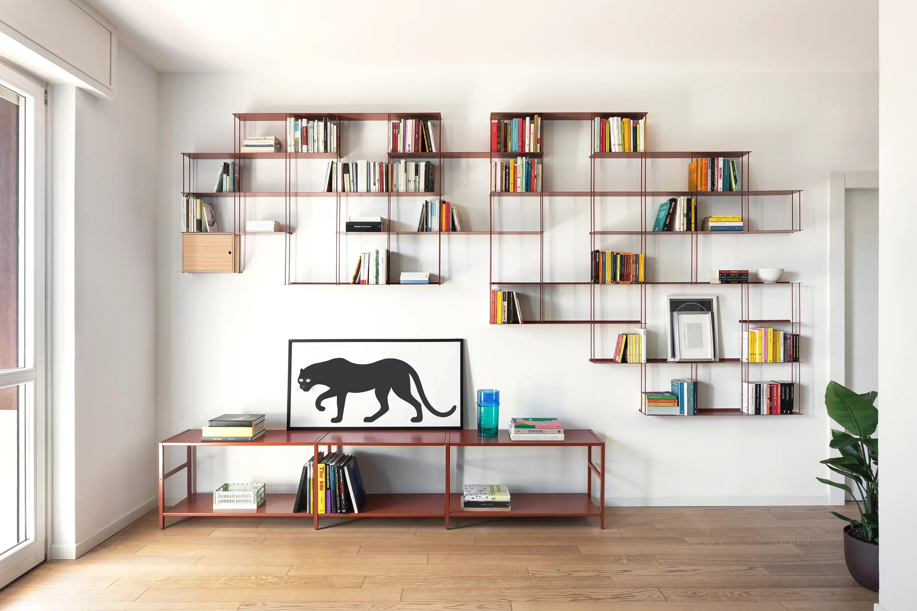Kriptonite - Krossing Bookshelf