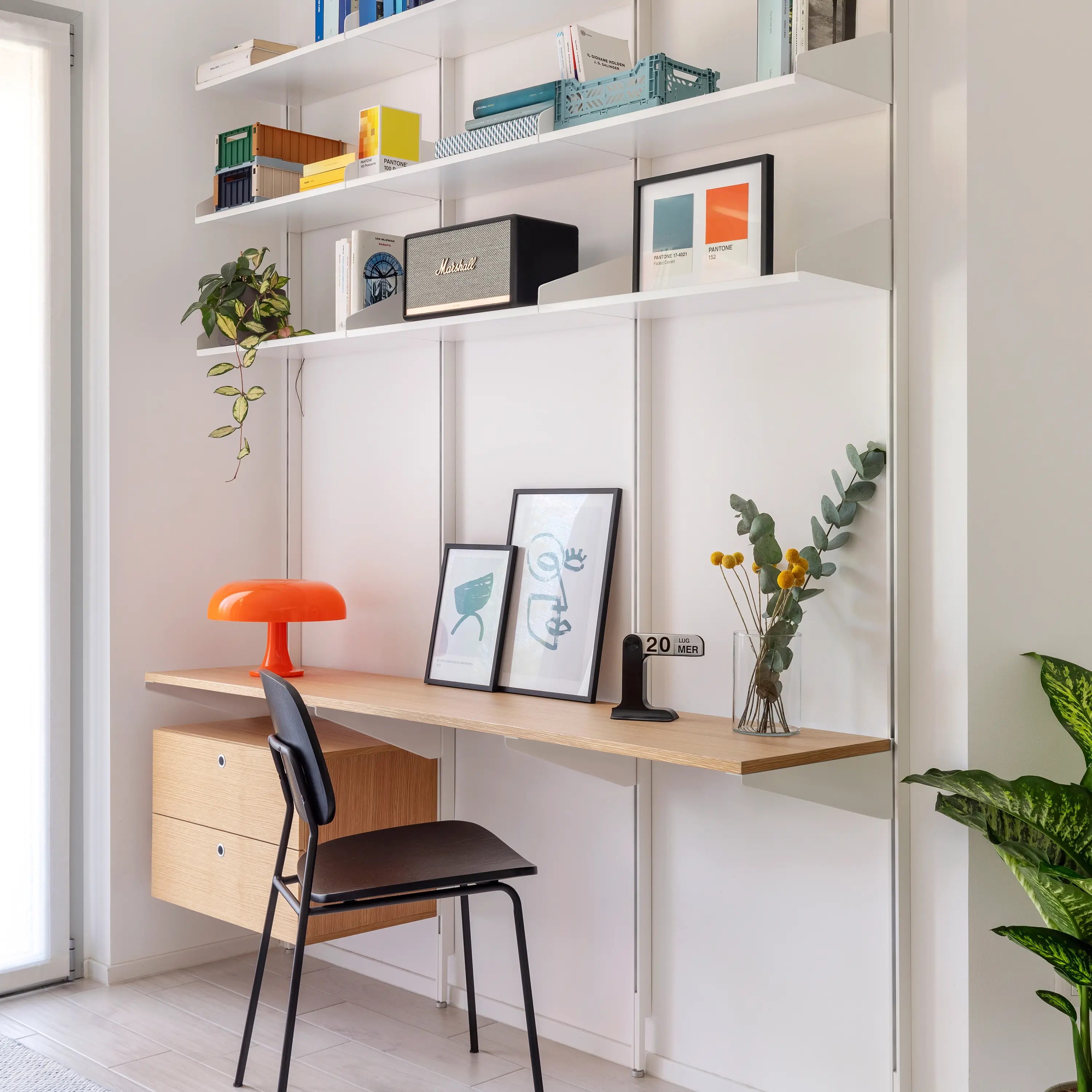 Kriptonite - K1+ Studio