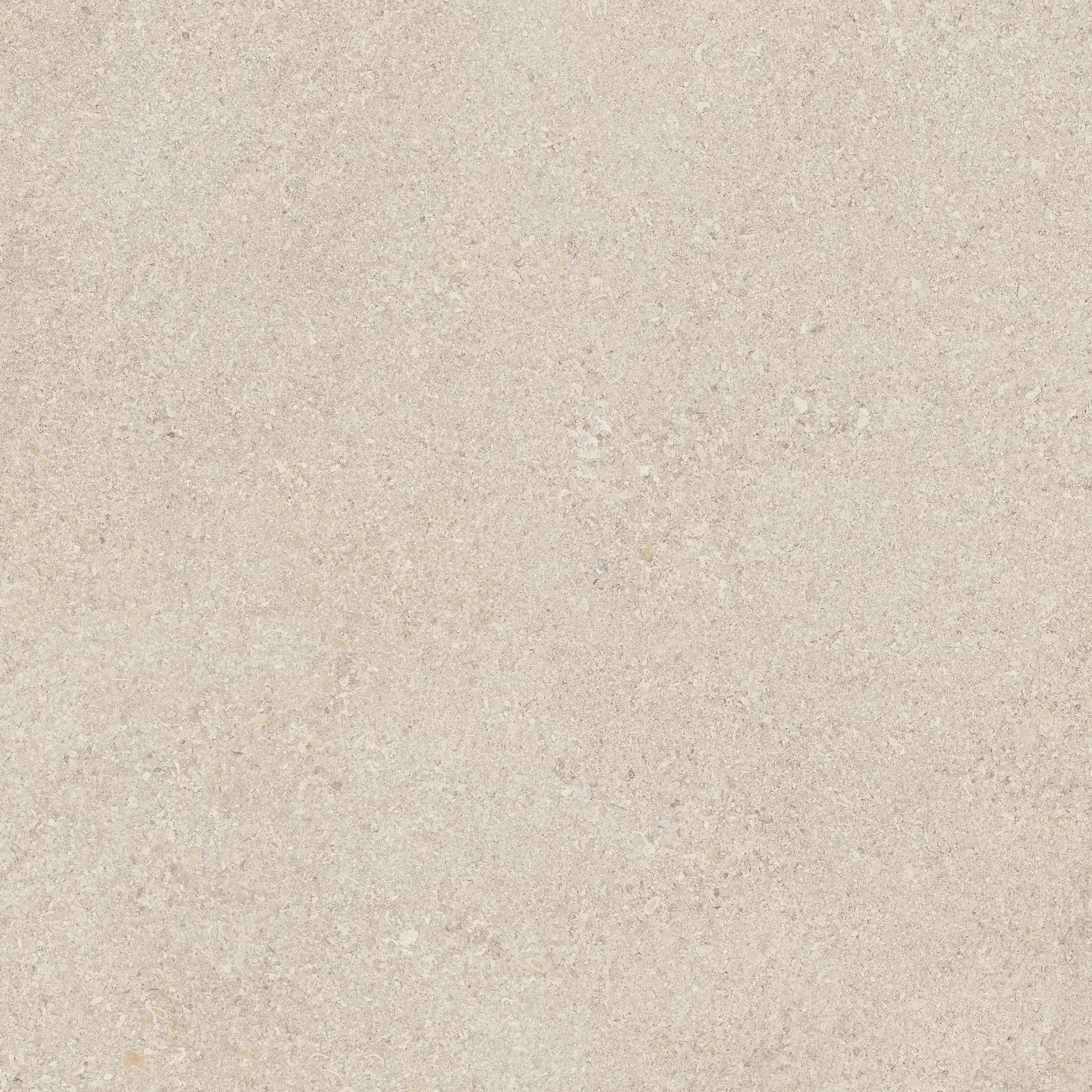 Area Pro | Sand-White