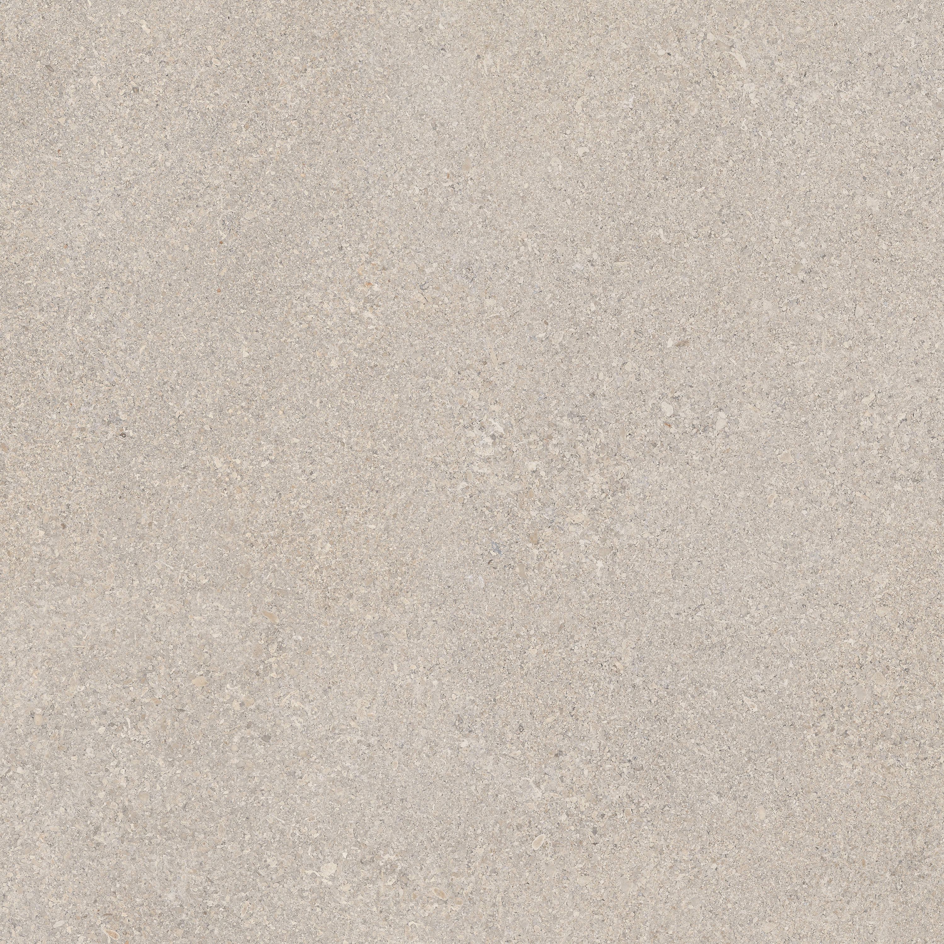 Area Pro | Gris Sable