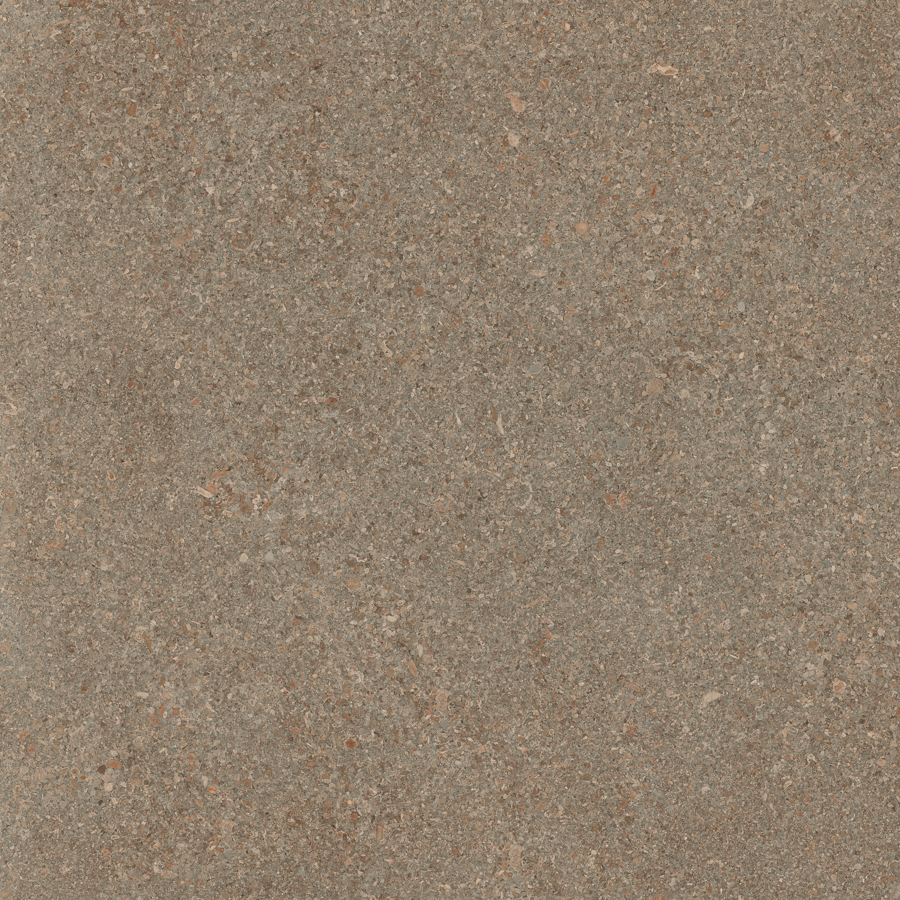 Area Pro | Sable