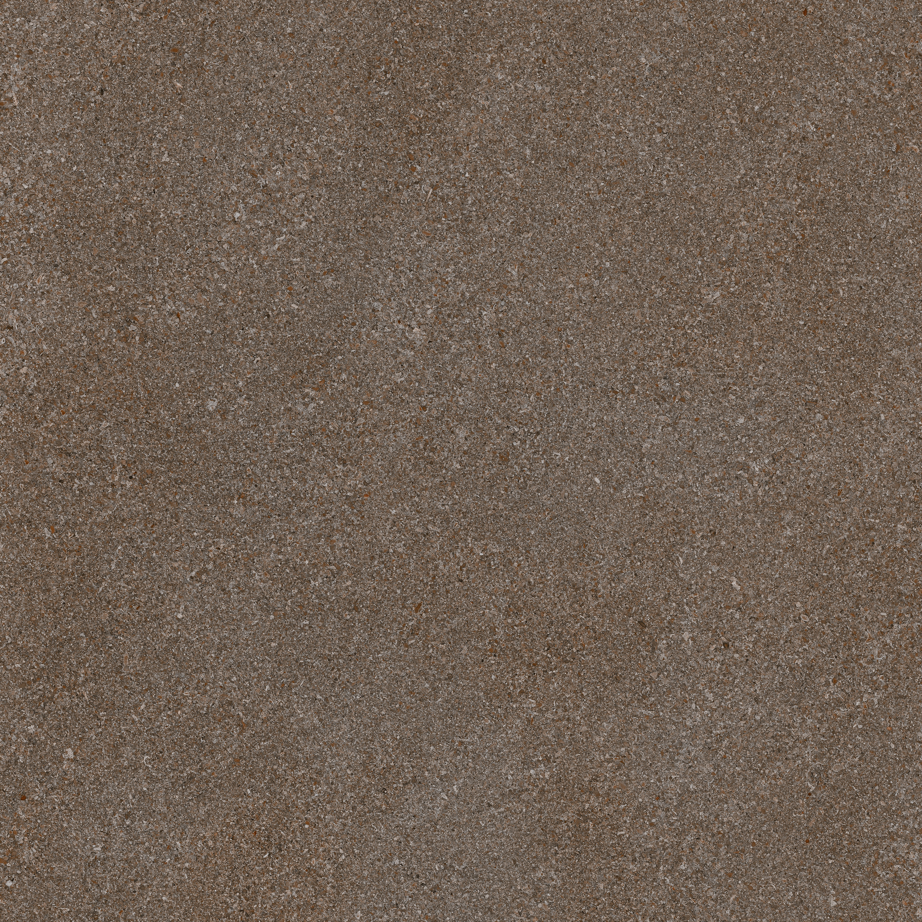 Area Pro | Muscat