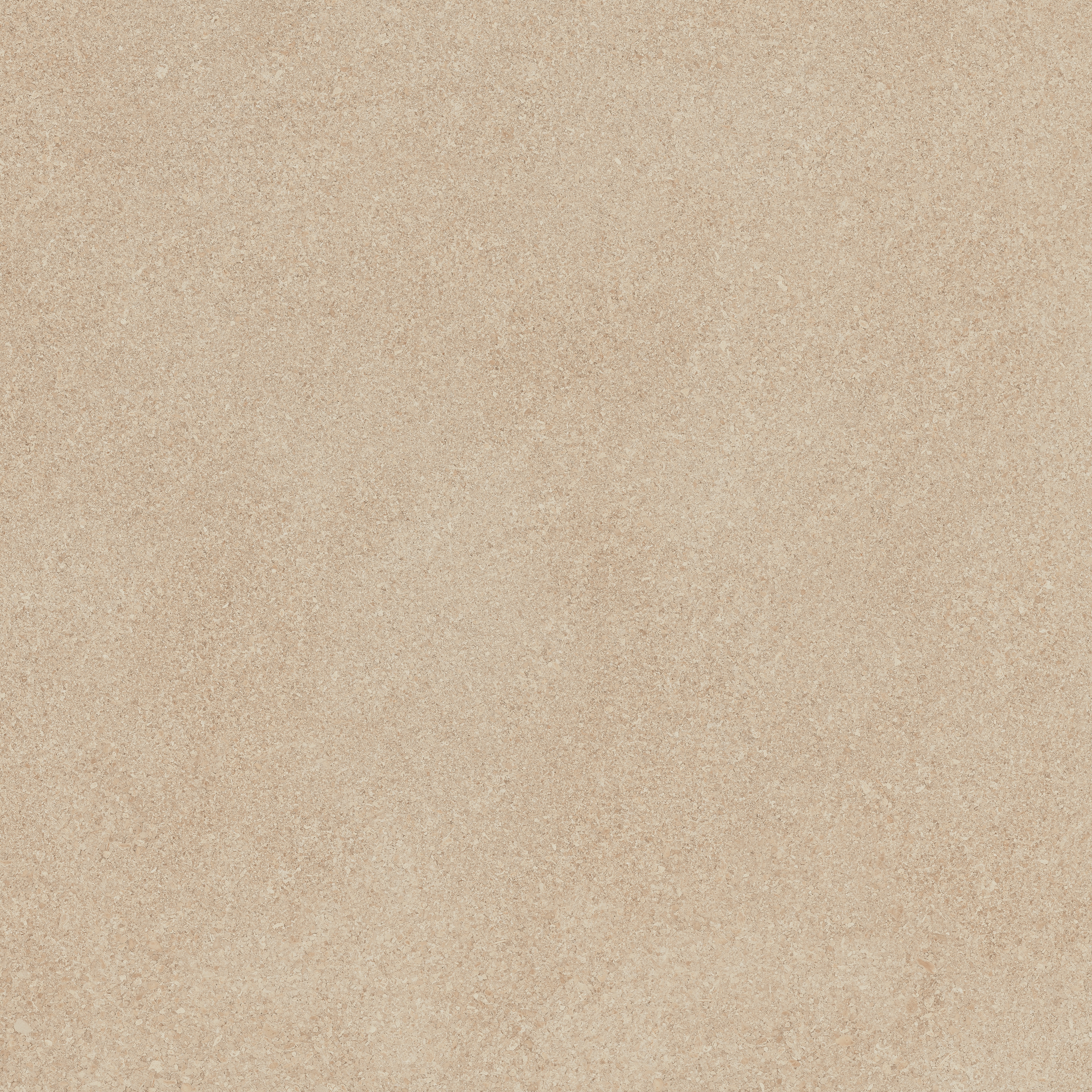 Area Pro | Beige Sable
