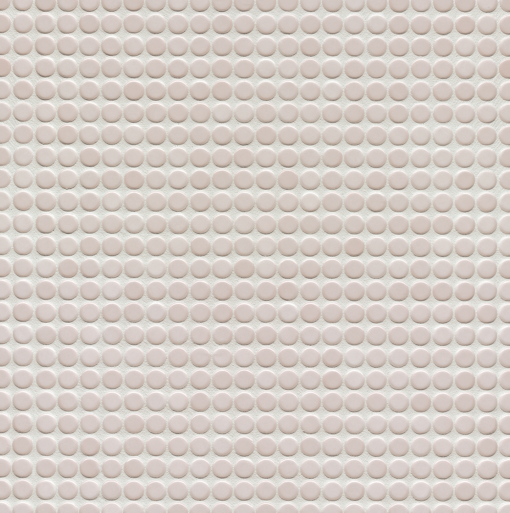 Loop | Light Ivory Glossy
