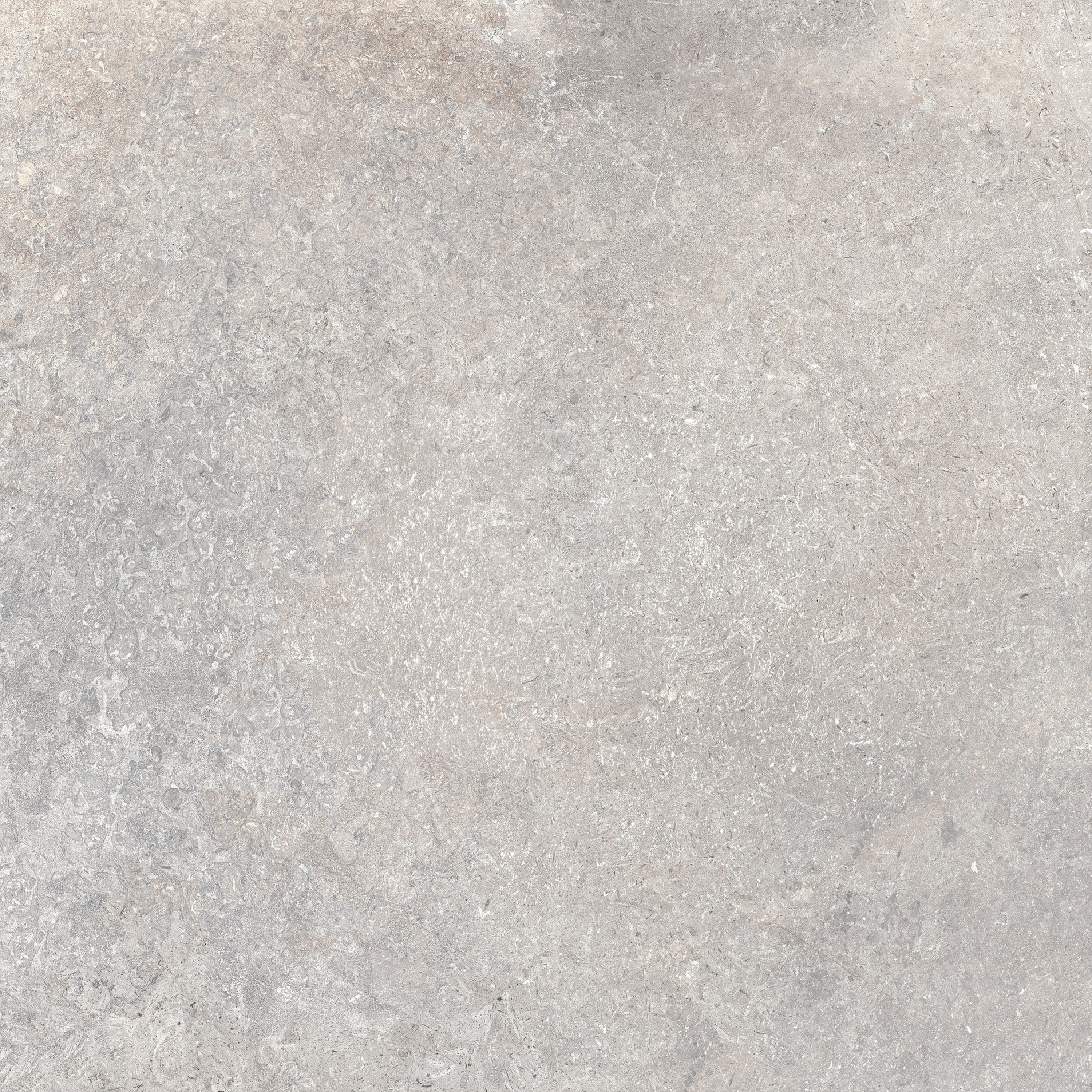 Ascona | Stone