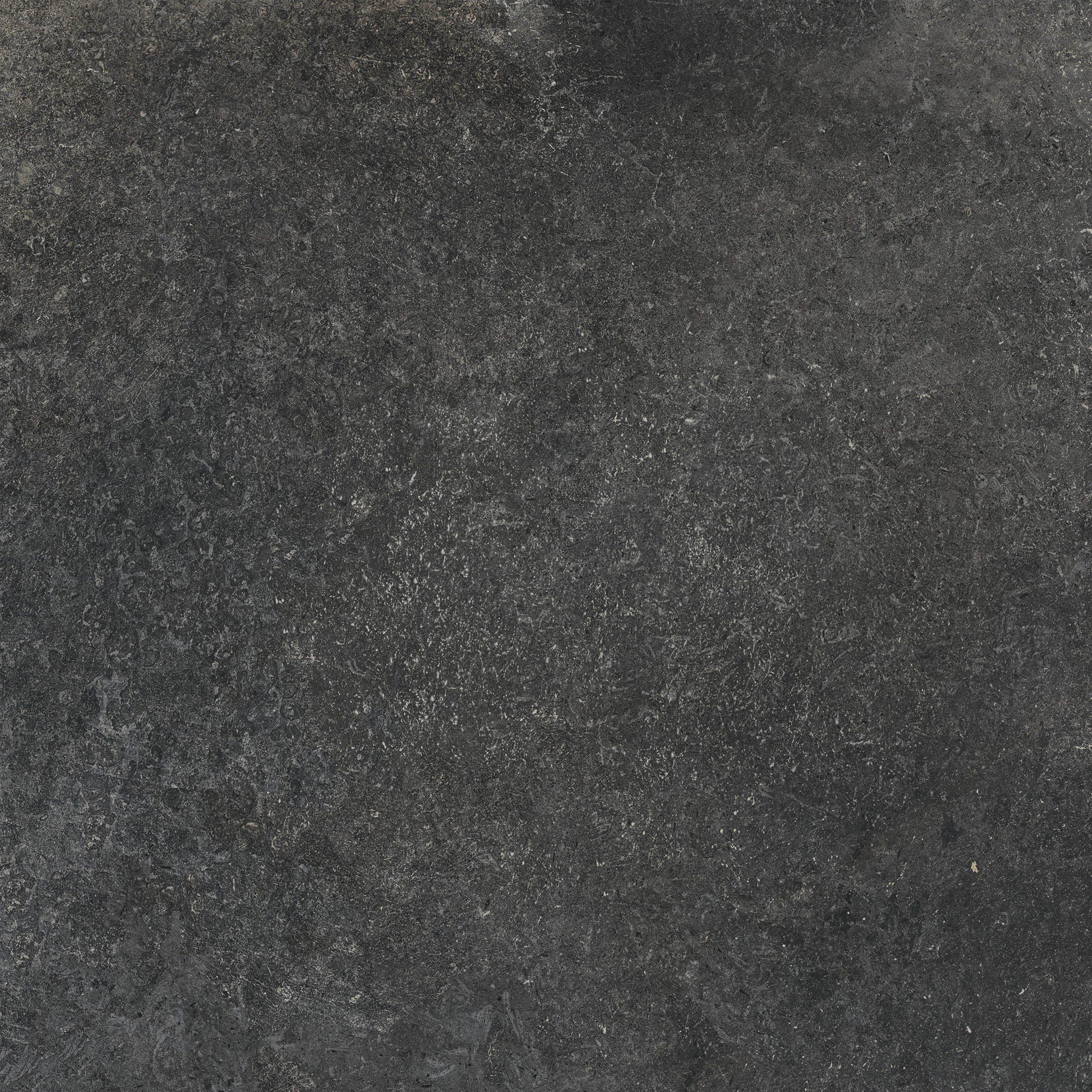 Ascona | Graphite