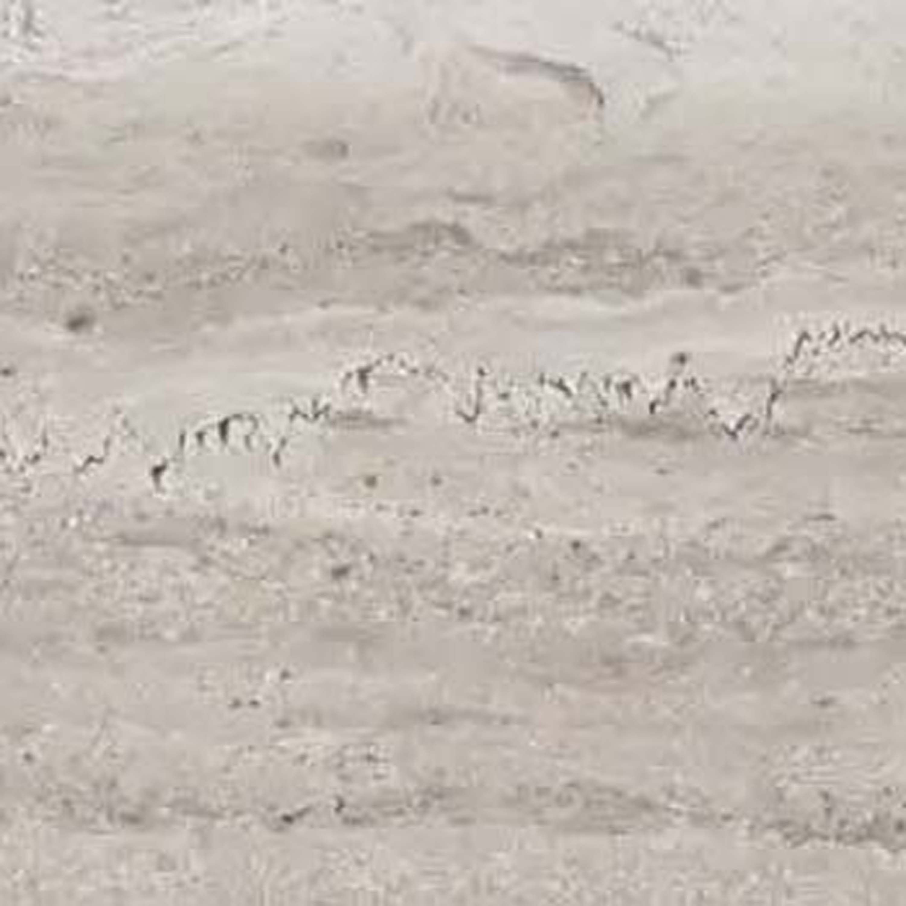 Solid Ground | Skirtings - 7 x 60 cm - belgish grey
