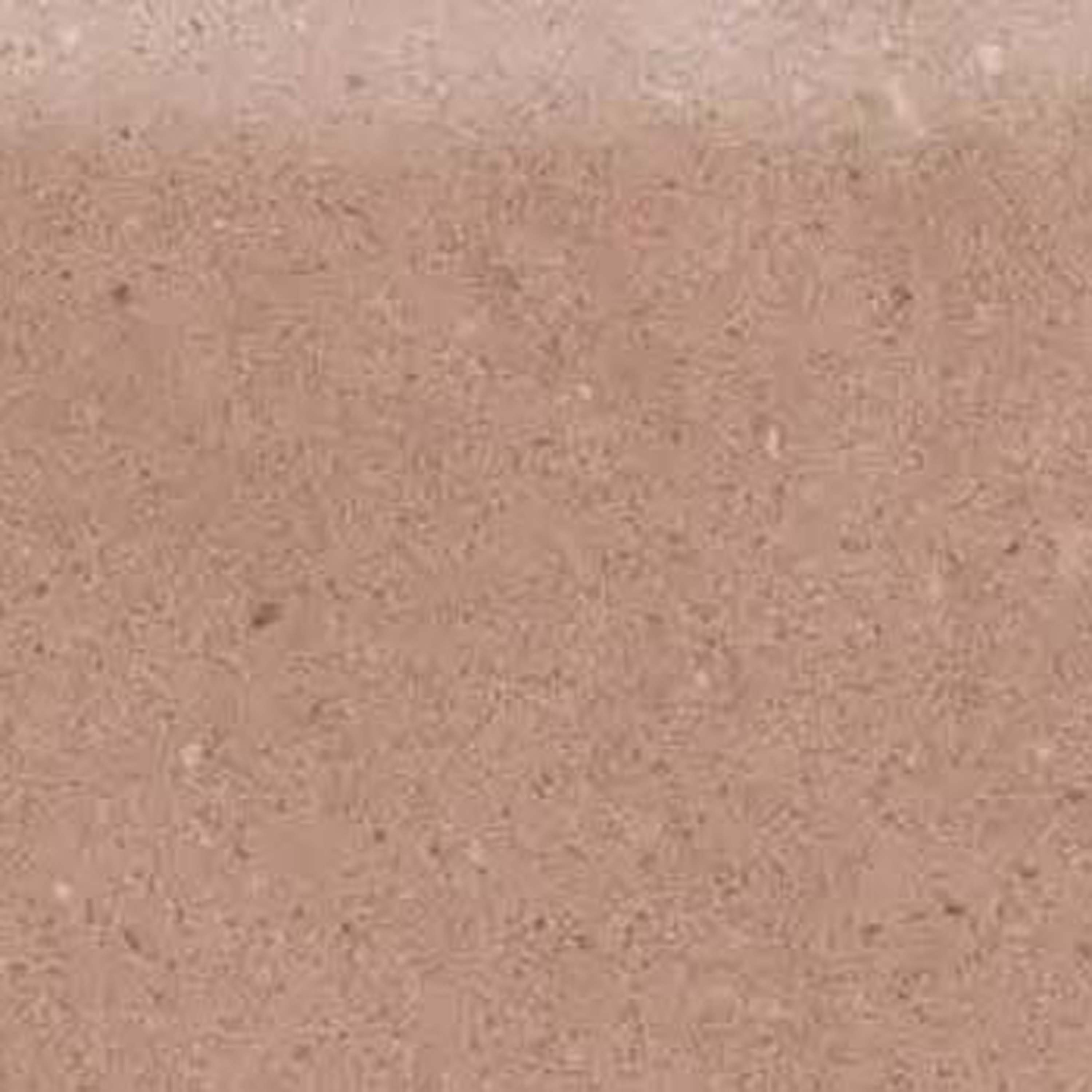 Mostra il prodotto Solid Ground | Skirtings - 7 x 60 cm - red clay del produttore AGROB BUCHTAL