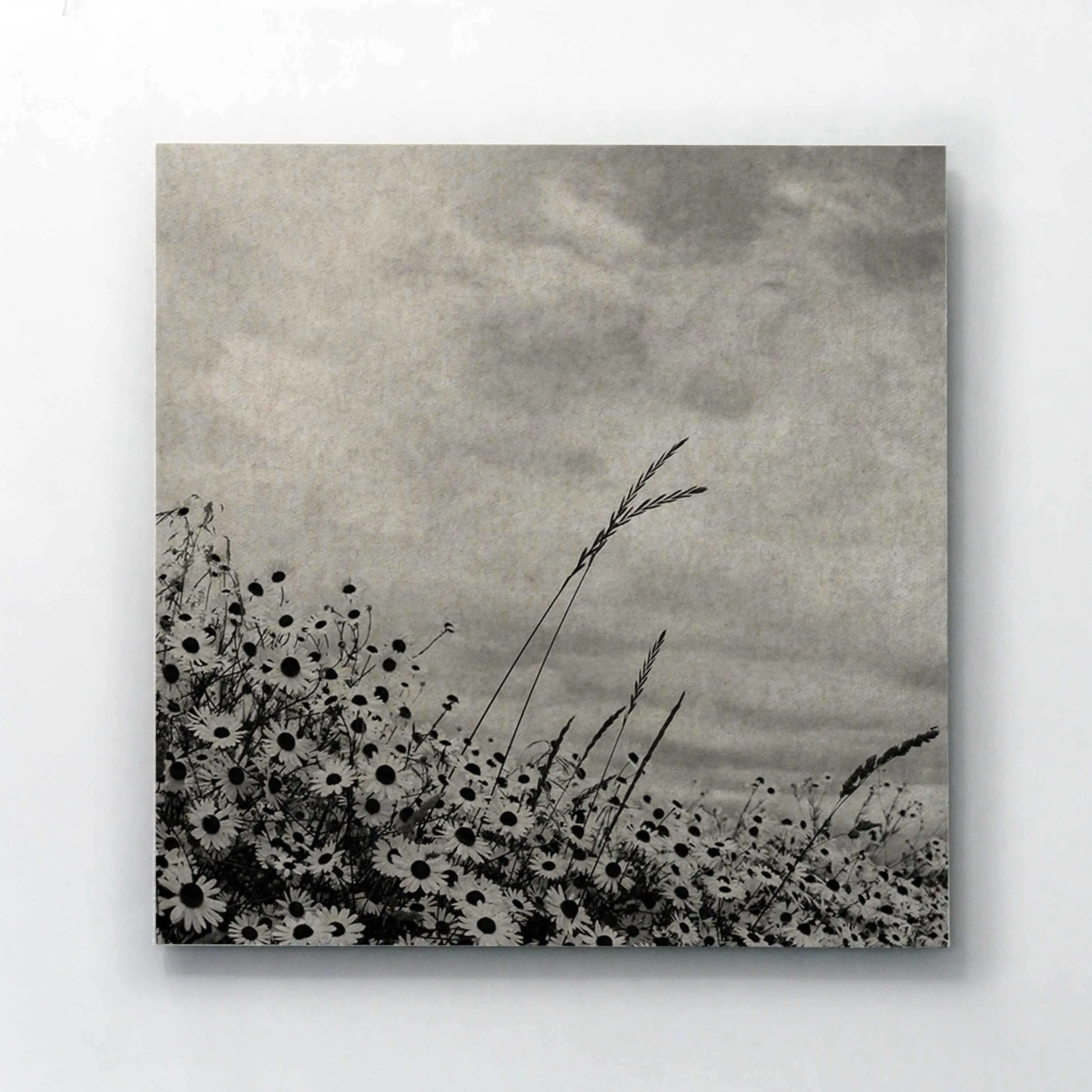 Tante Lotte - Whisperwool Wandschaf