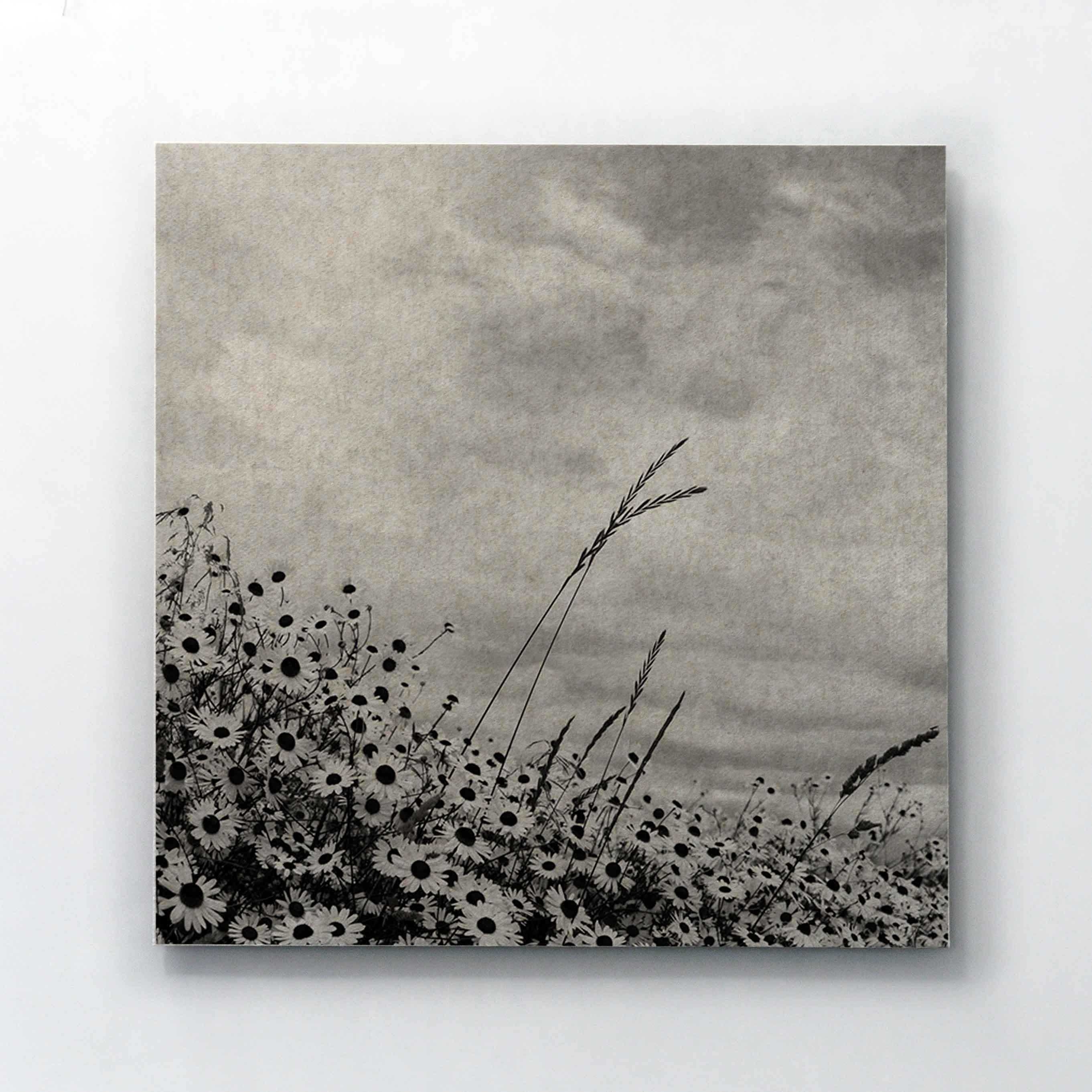 Mostra il prodotto Whisperwool Wall Sheep del produttore Tante Lotte