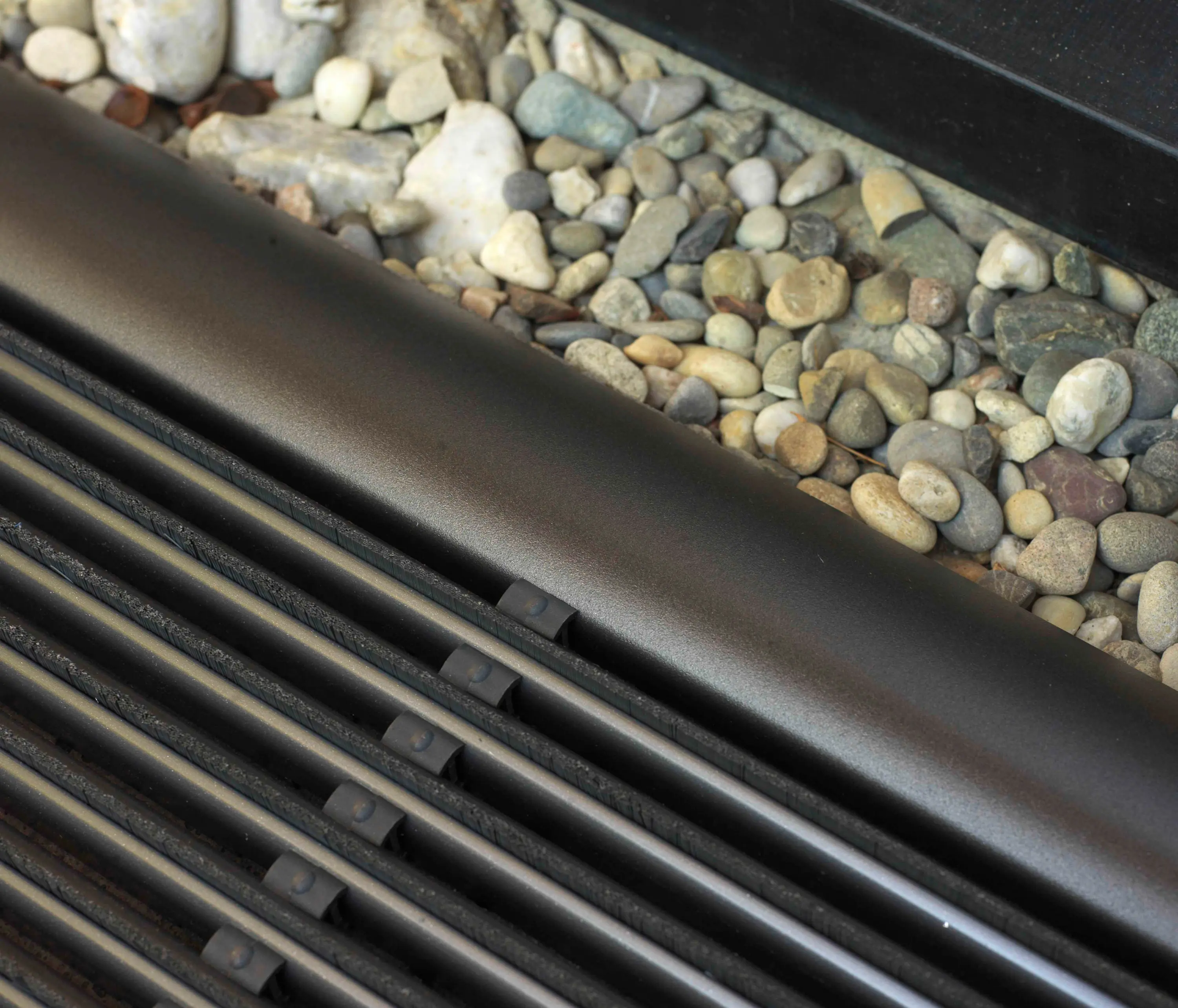 RiZZ - The New Standard