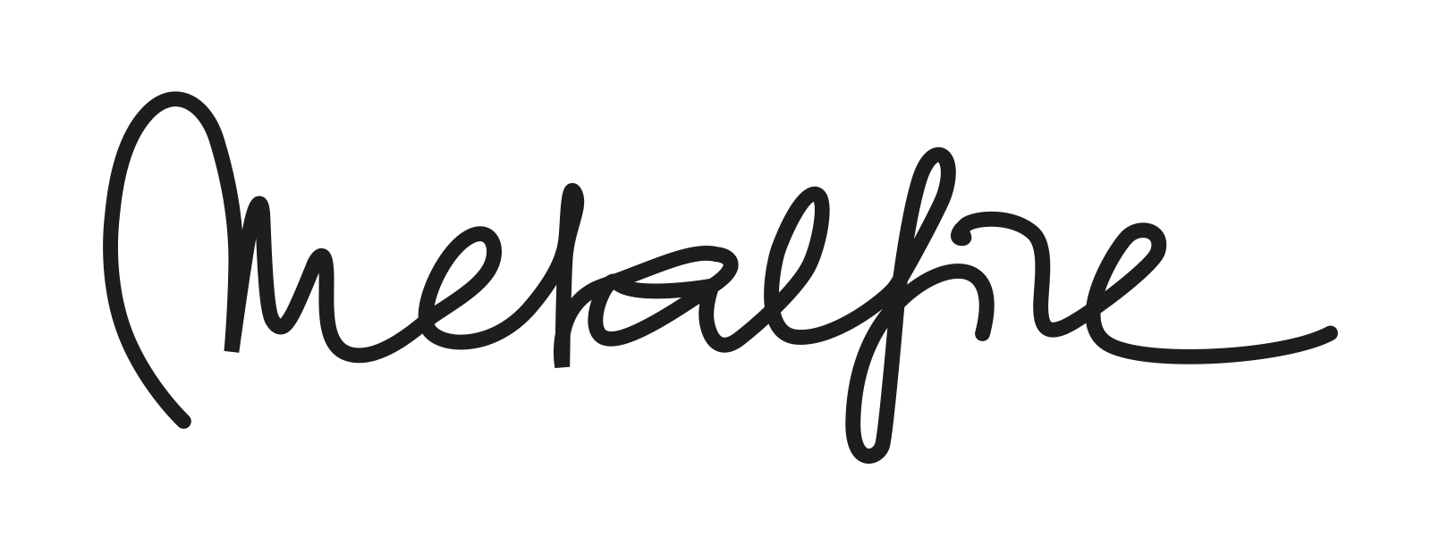 Logo for manufacturer Metalfire