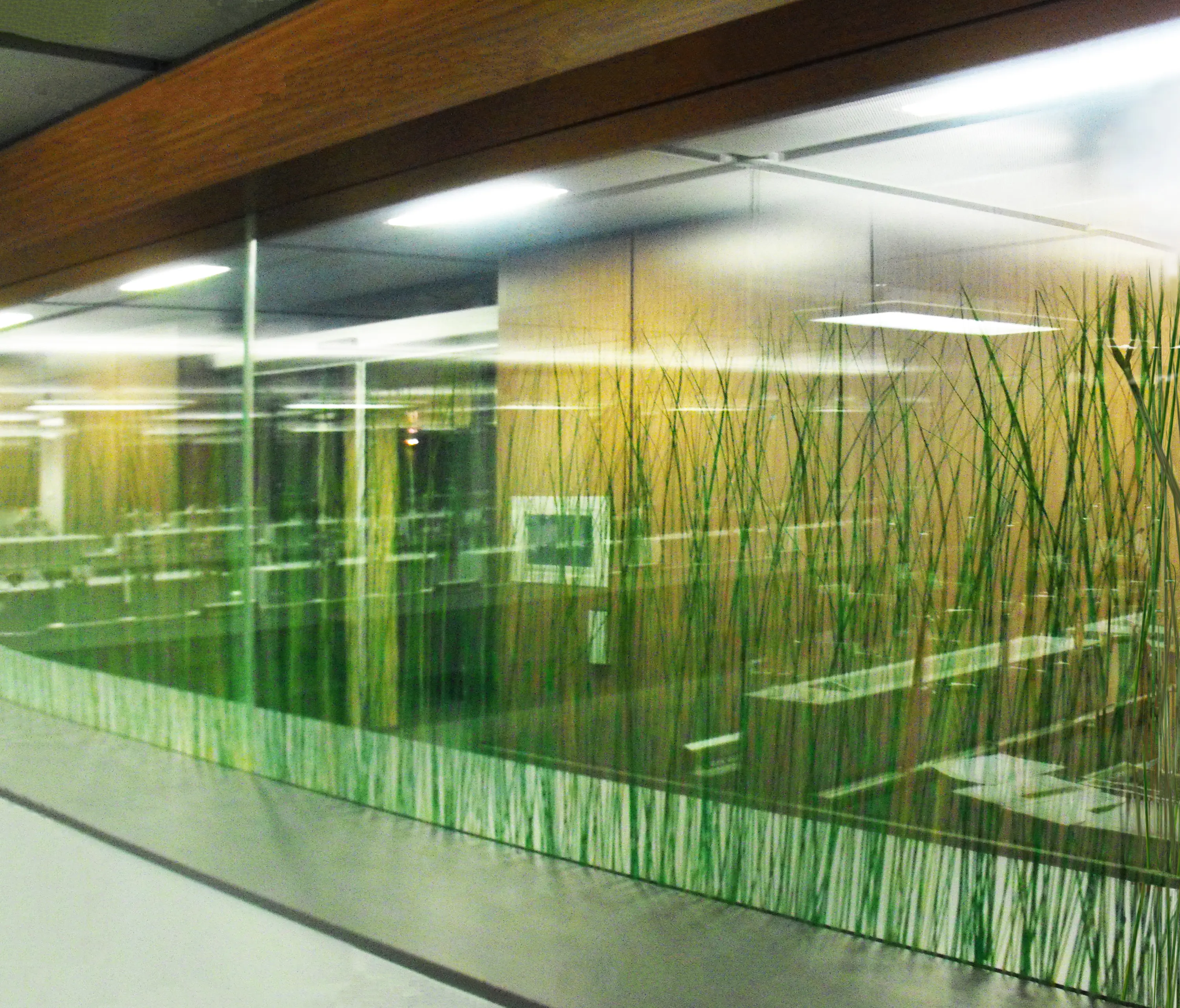 complexma - Charisma Glass Cascade Lava