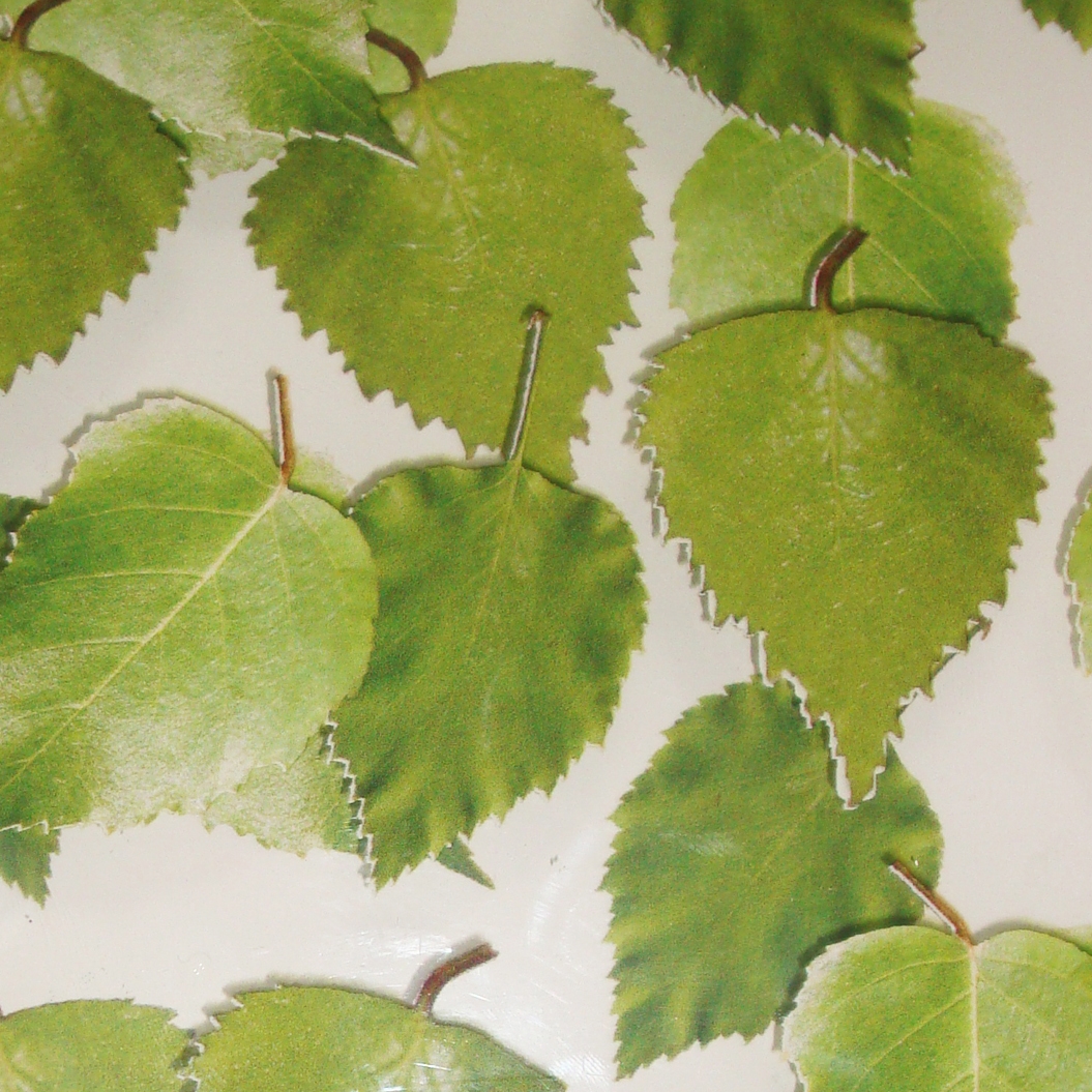 Charisma Glass Birch Leaf