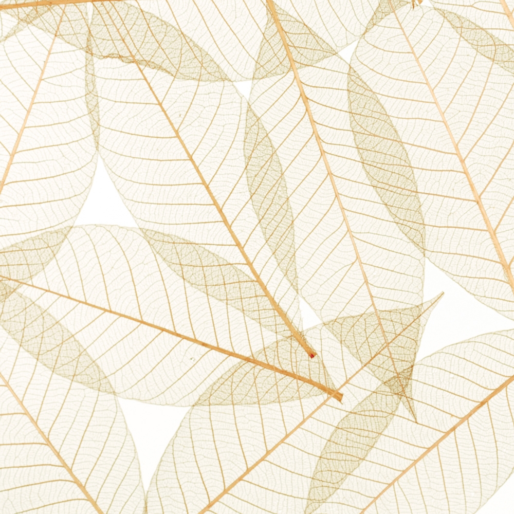 Charisma Glass Toffee Leaf
