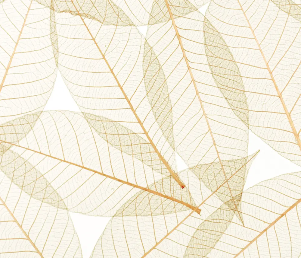 complexma - Charisma Glass Toffee Leaf