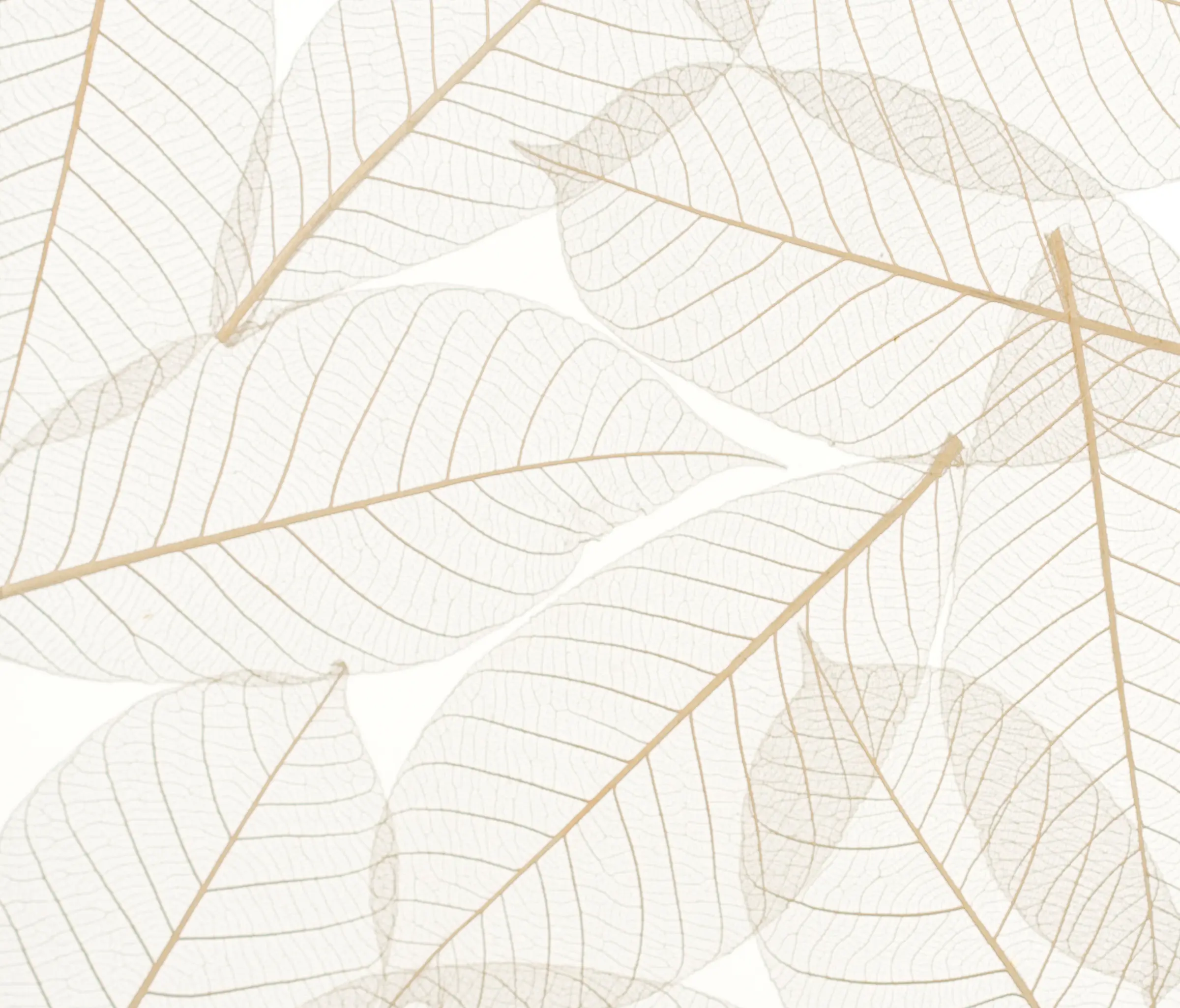 complexma - Charisma Glass Natural Leaf
