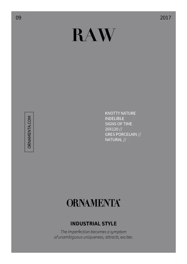 Imagen de vista previa del archivo Raw