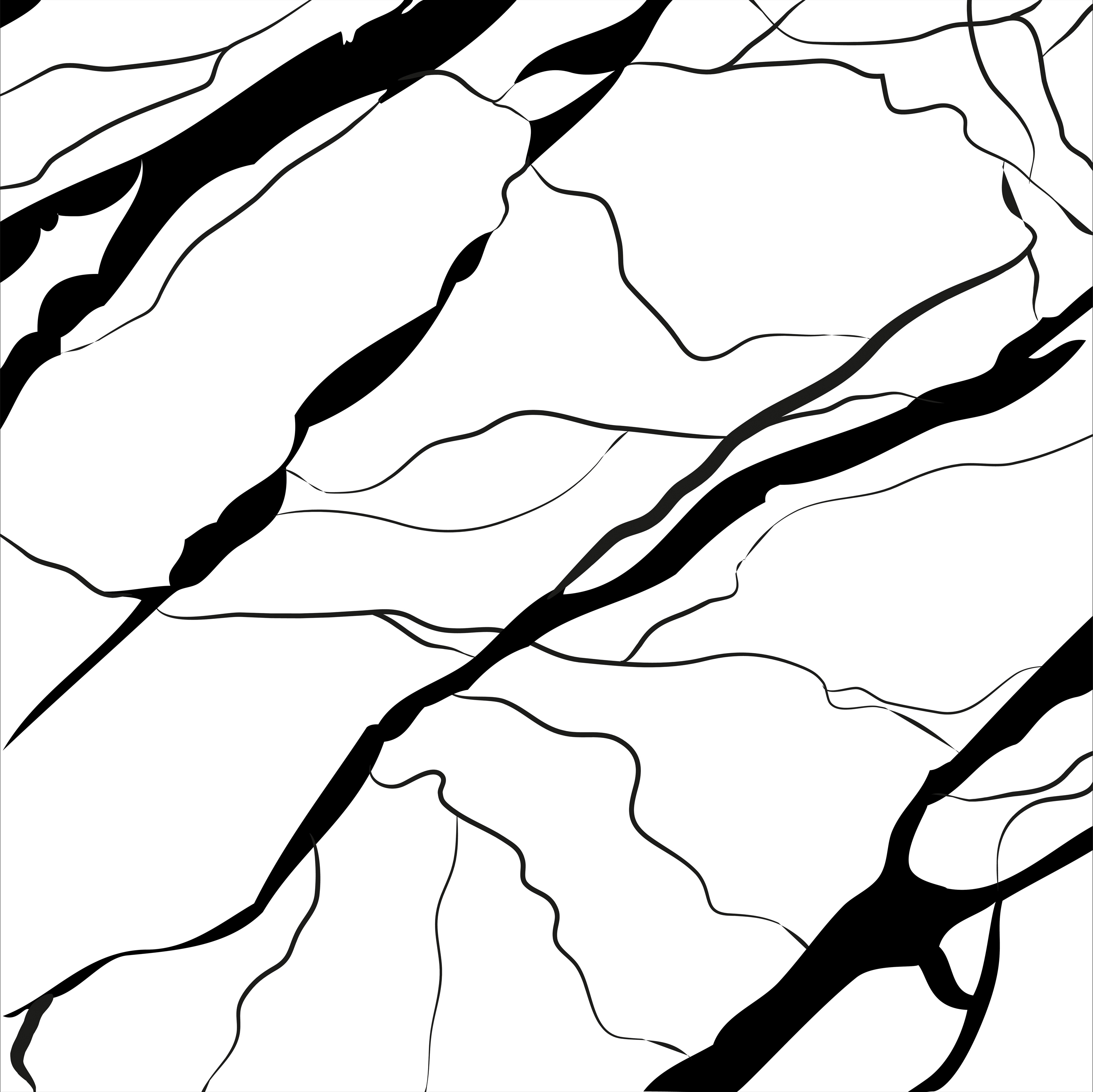 Display product Artwork Marble Back and White | AR6060MK from manufacturer Ornamenta