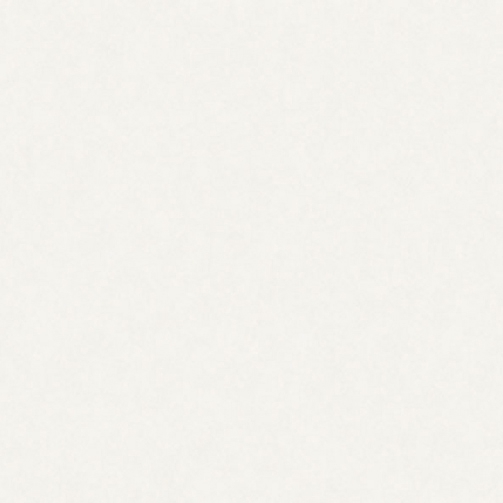 Maiolicata White 10X60 | M1060W