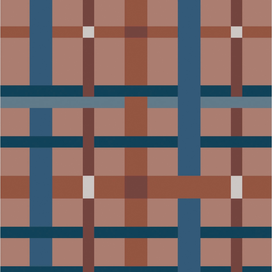 Rugs Warp Earth | OP120240RUWE