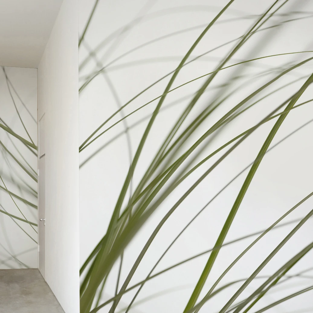 FLORA PLUS