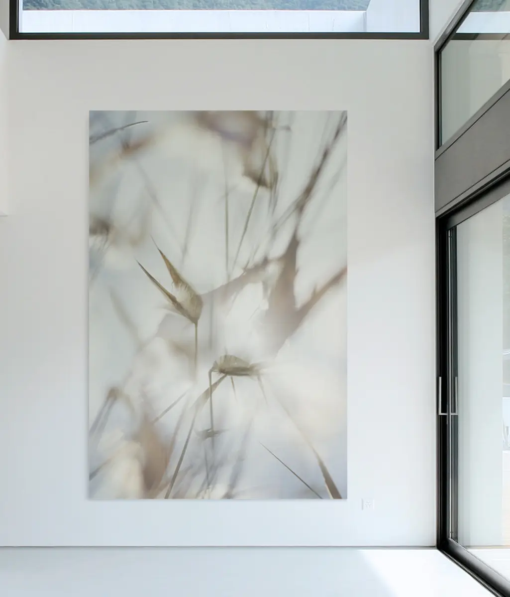 ornament.control - Flora Plus | 31.152.1 | Photo