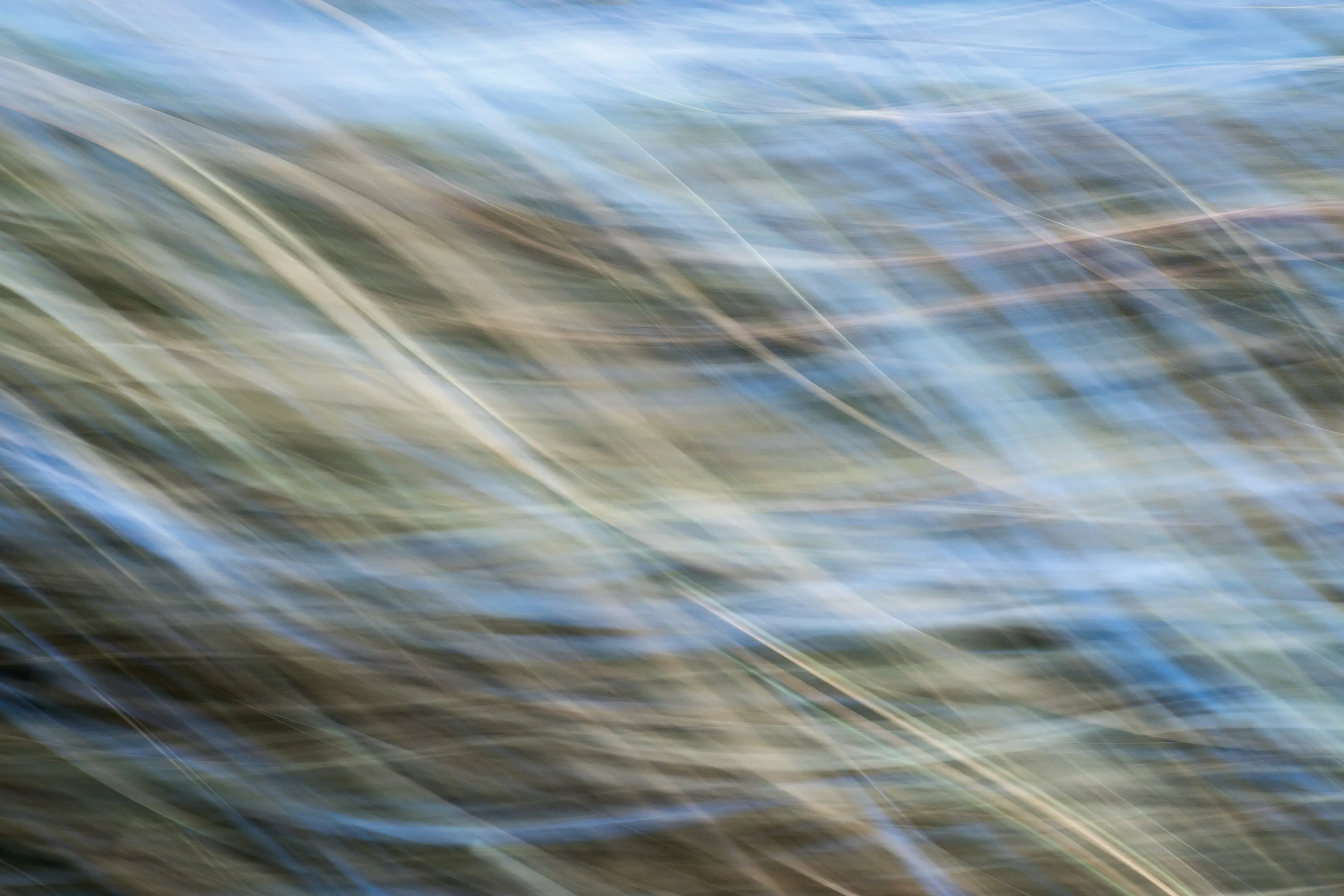 ornament.control - The Element Water | 31.144.1 | Photo