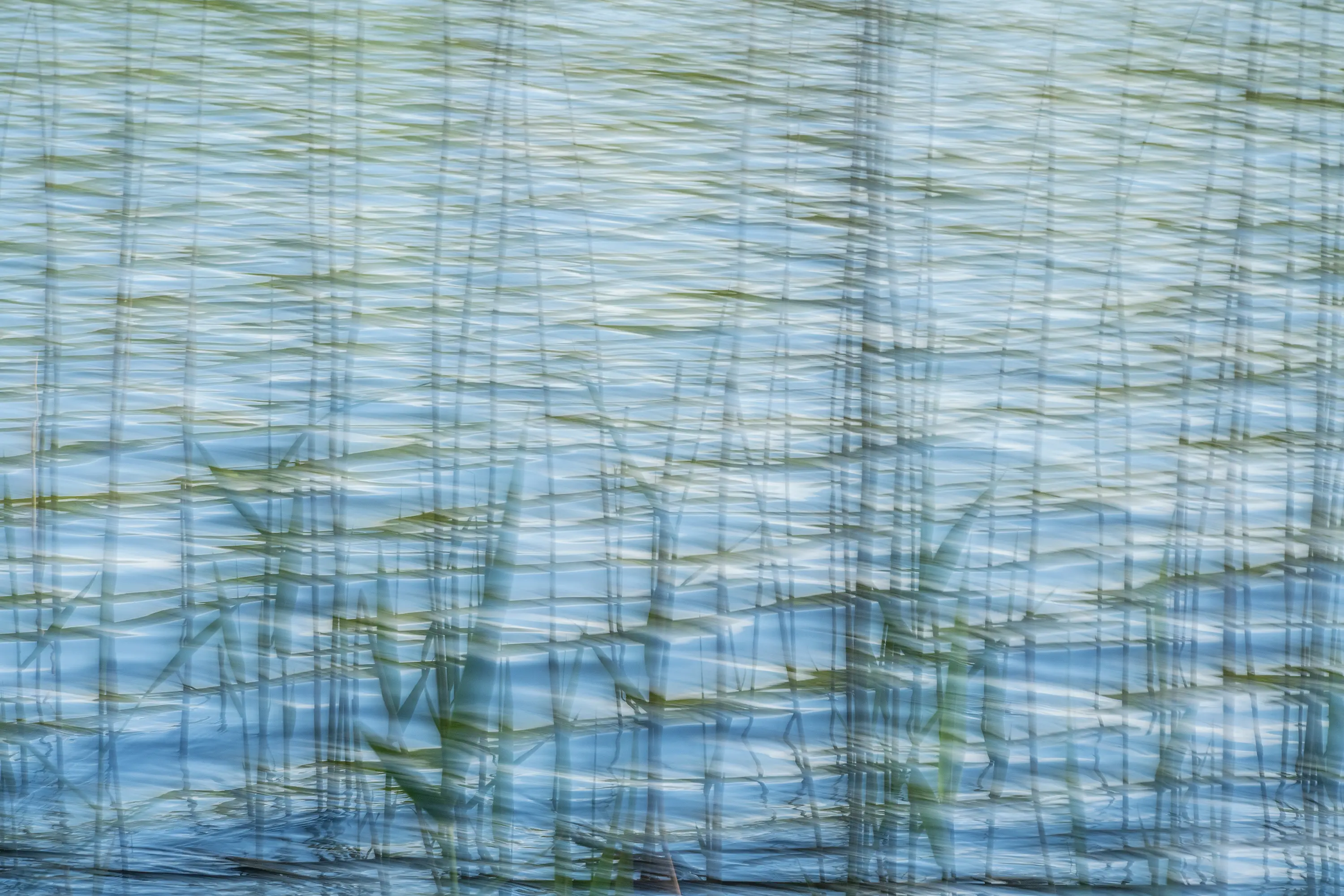 ornament.control - The Element Water | 31.138.1 | Photo