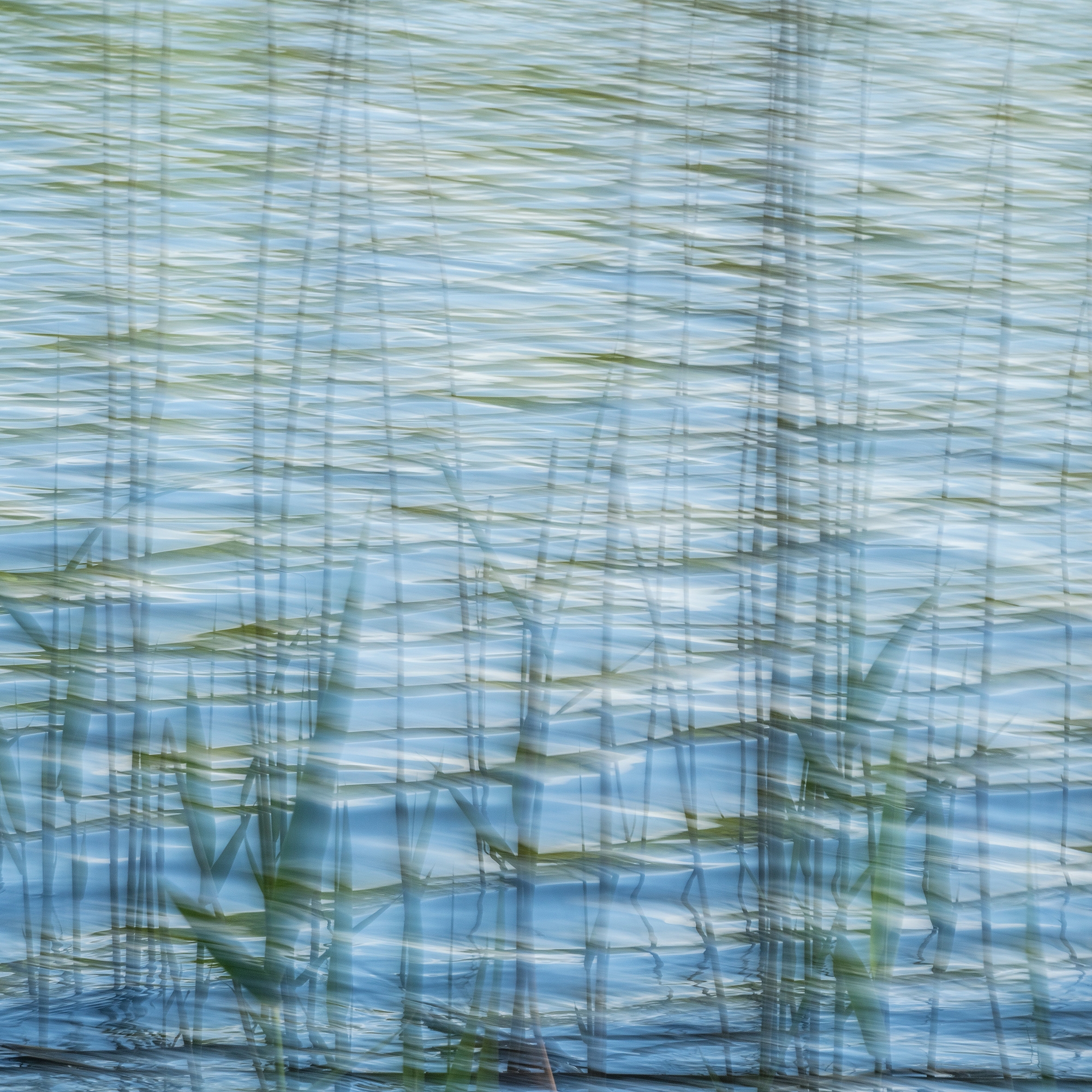 Mostra il prodotto The Element Water | 31.138.1 | Photo del produttore ornament.control